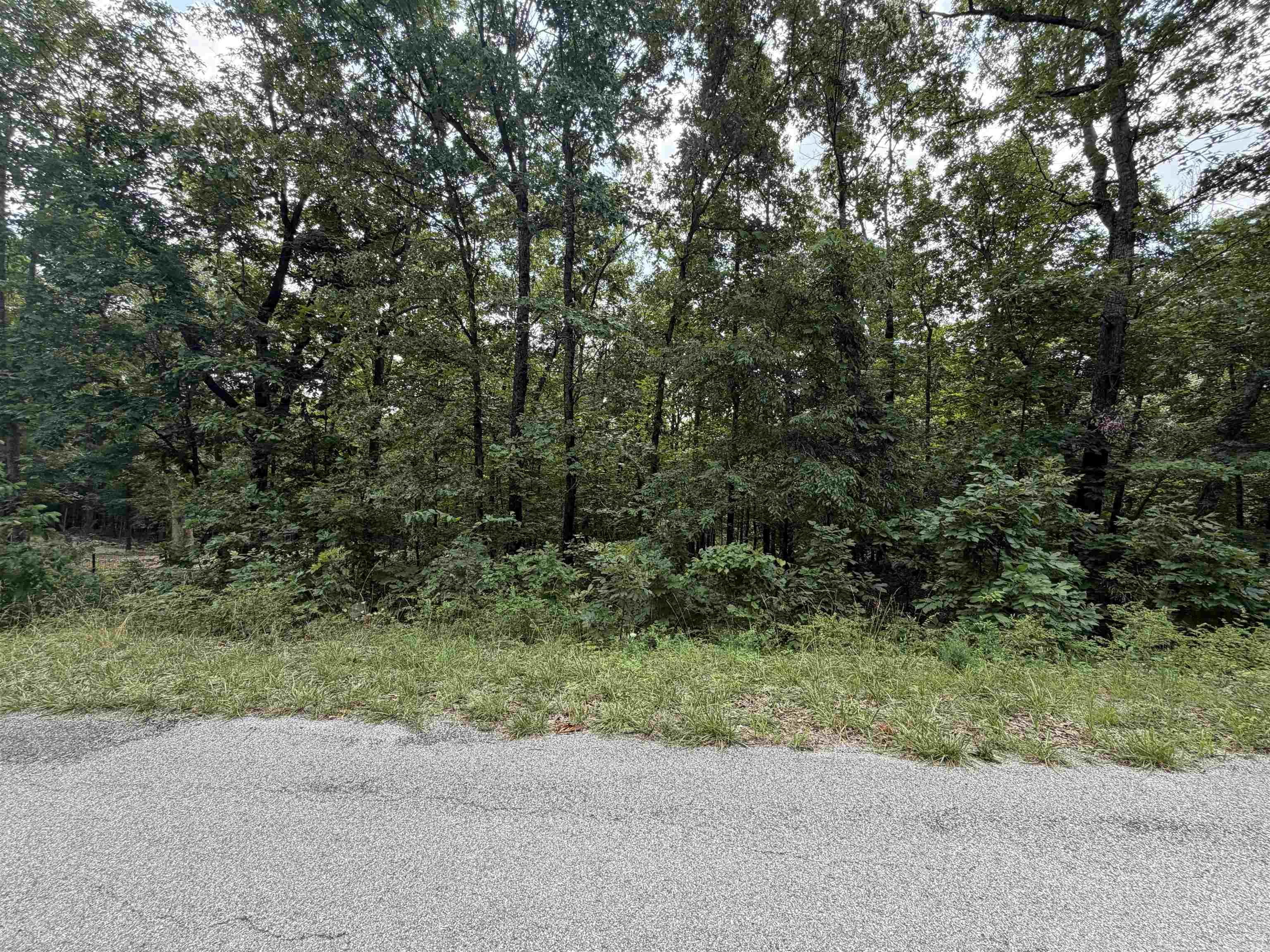 Lot 25 Blackfoot Drive  Cherokee Village, AR