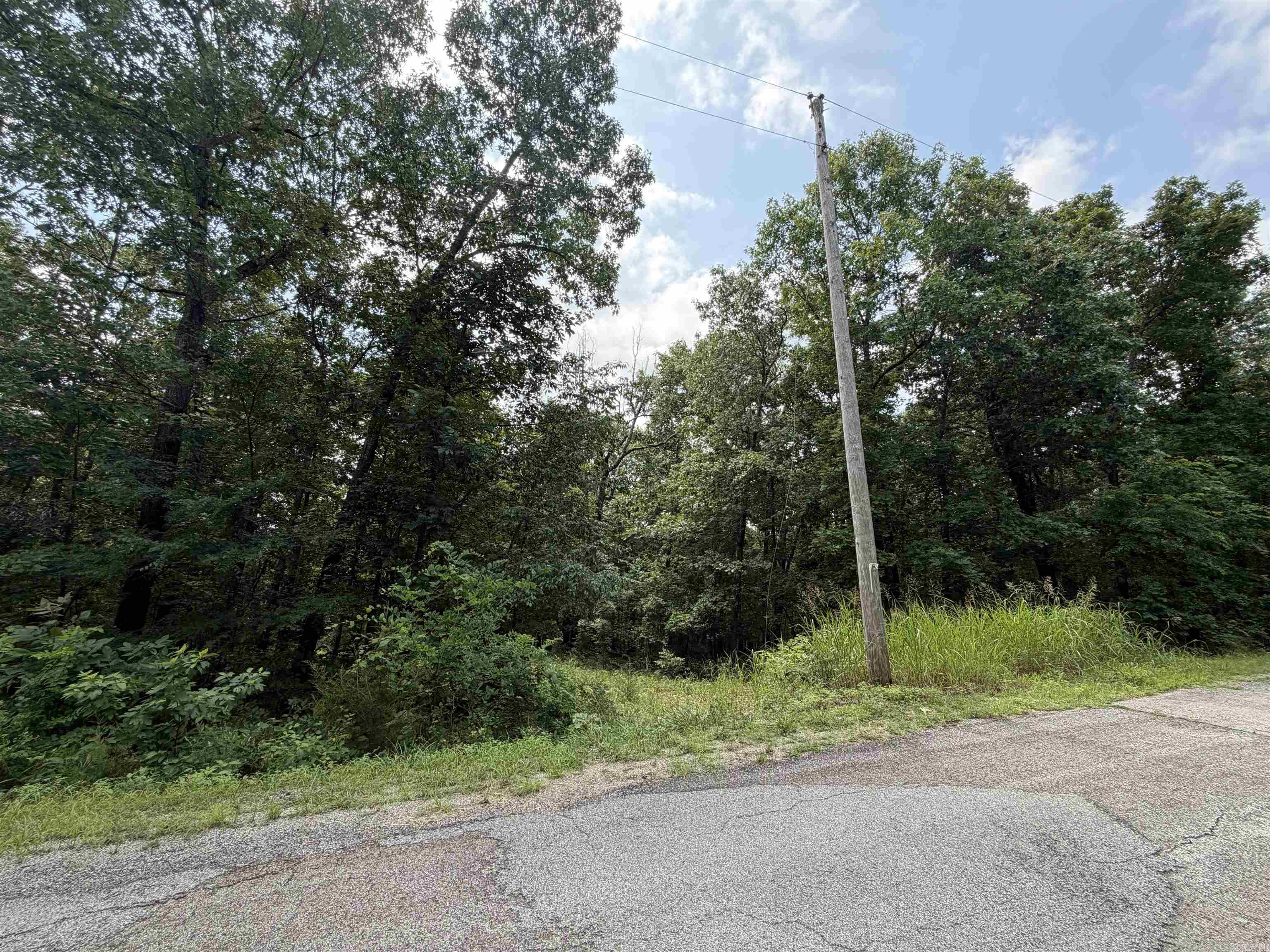 Lot 25 Blackfoot Drive  Cherokee Village, AR