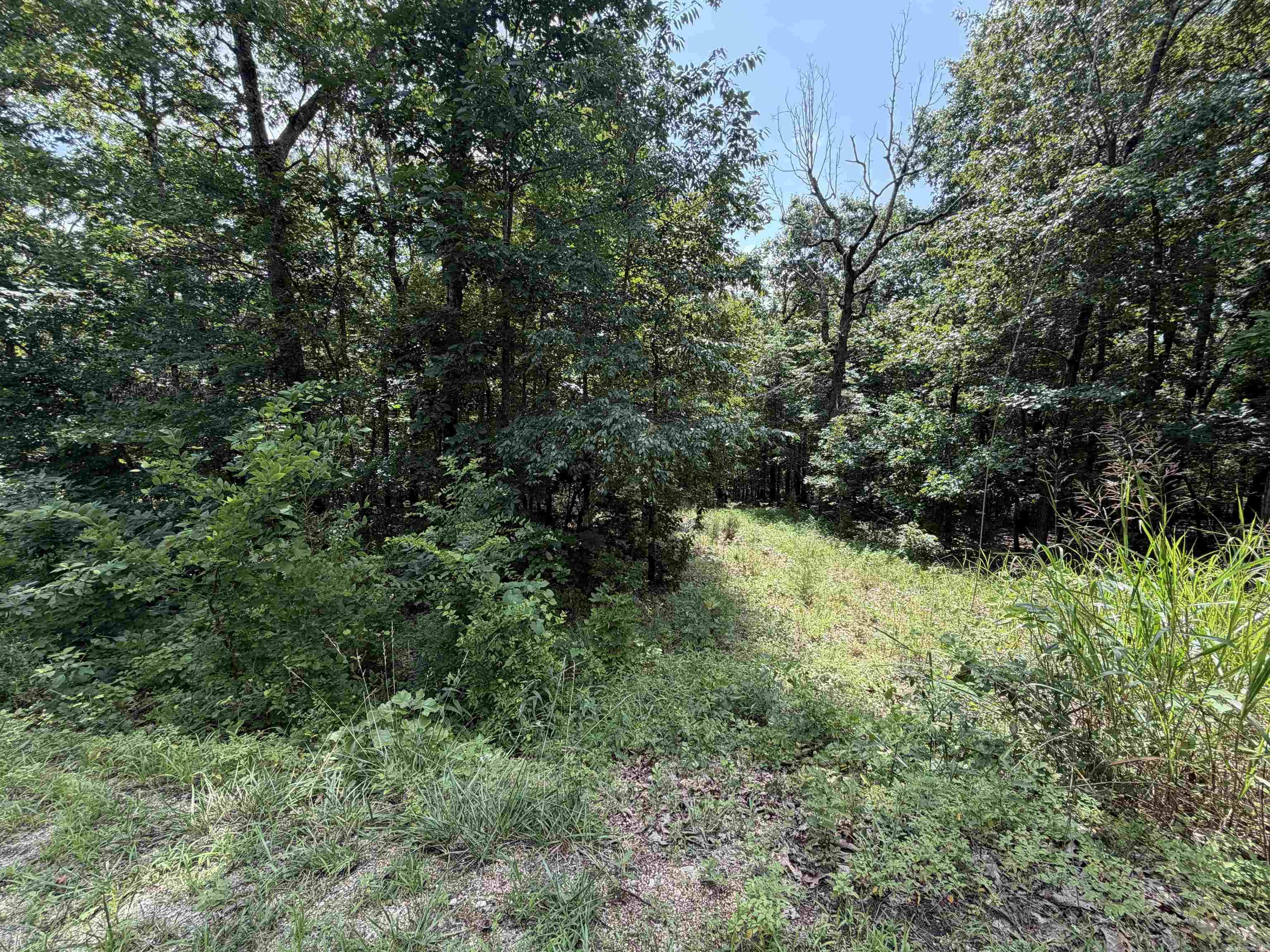 Lot 25 Blackfoot Drive  Cherokee Village, AR