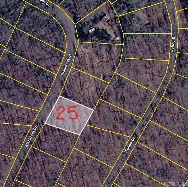 Lot 25 Blackfoot Drive  Cherokee Village, AR