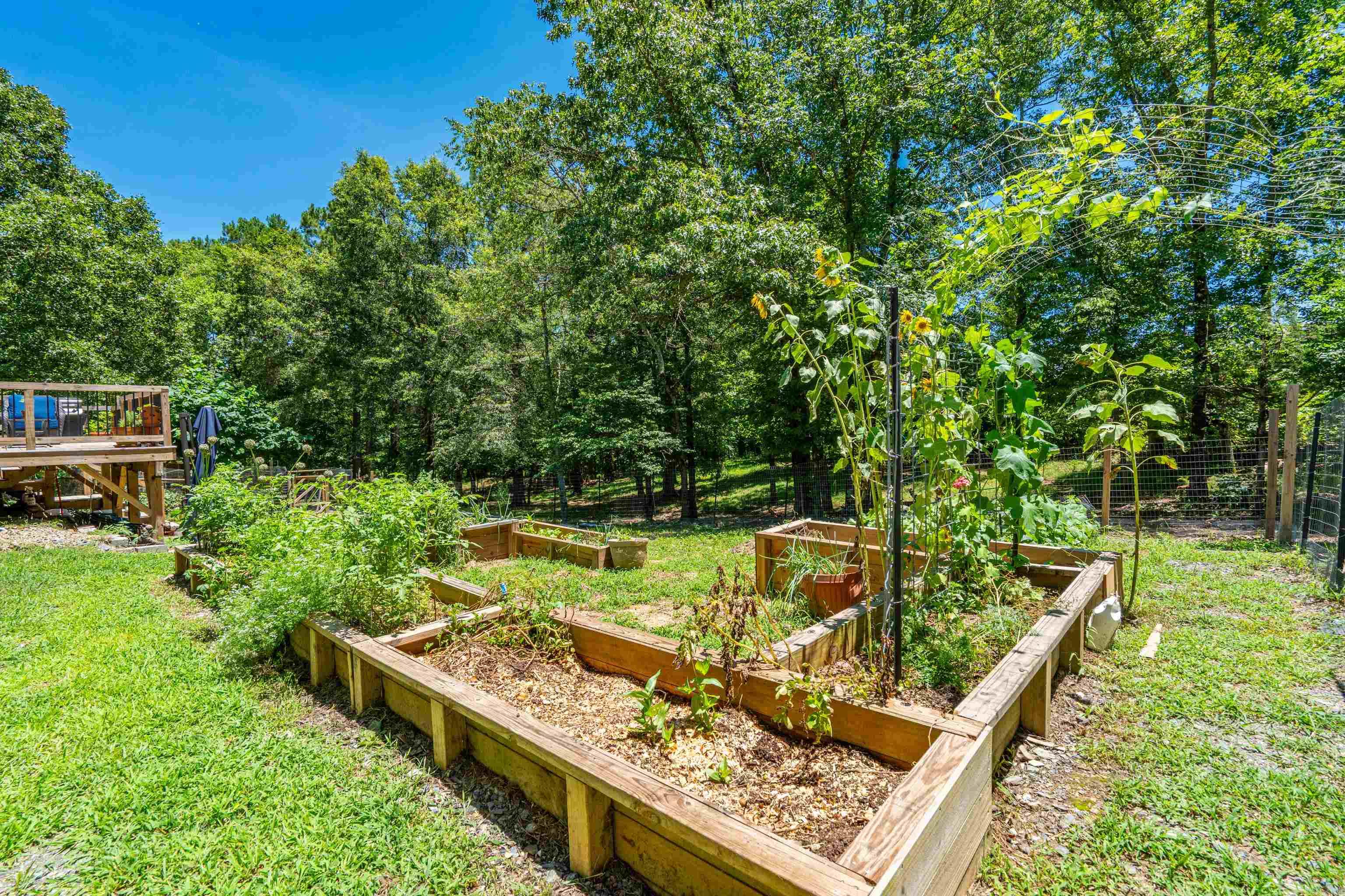 327 Nomoe Rd.  Royal, AR