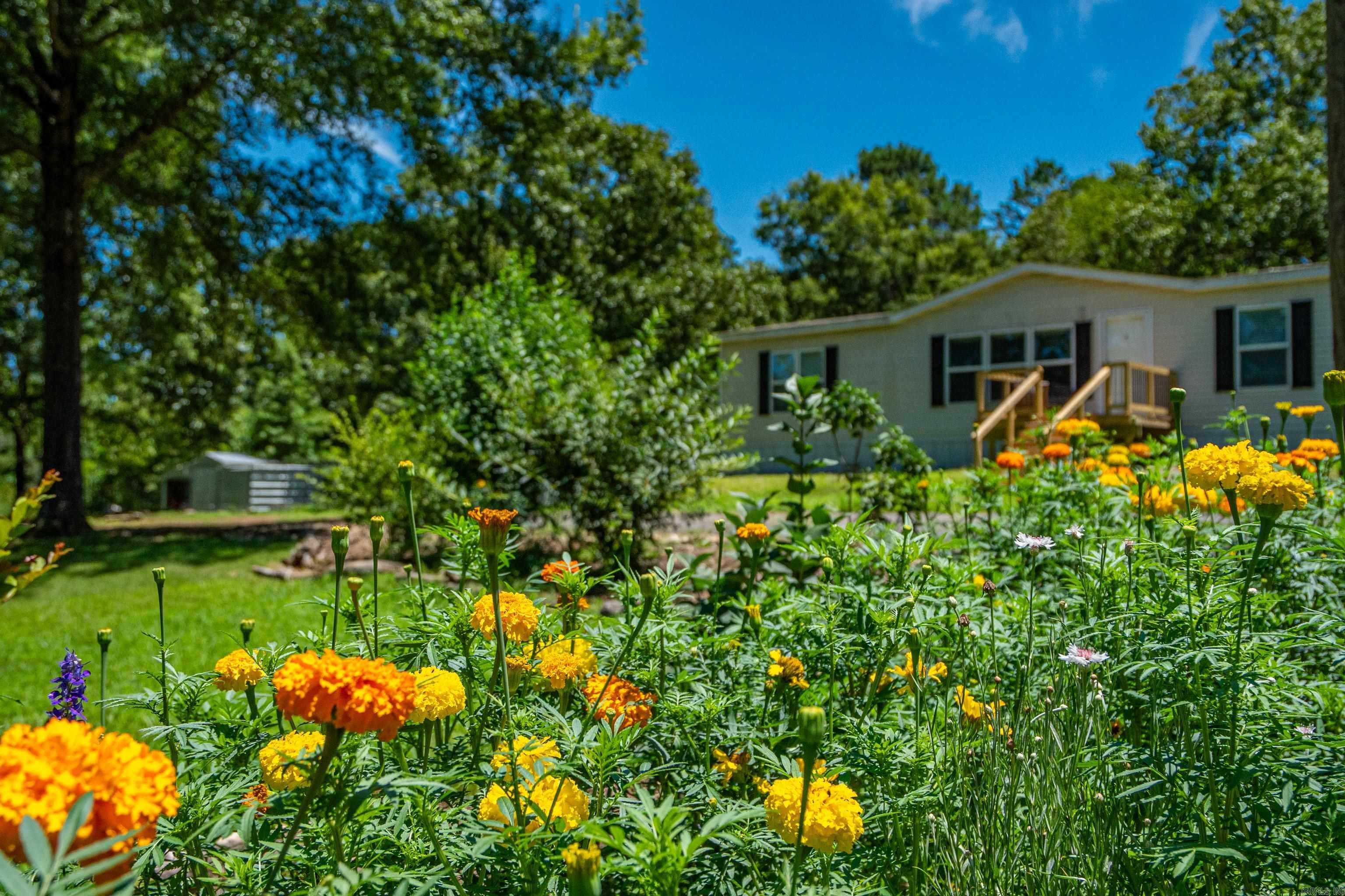 327 Nomoe Rd.  Royal, AR