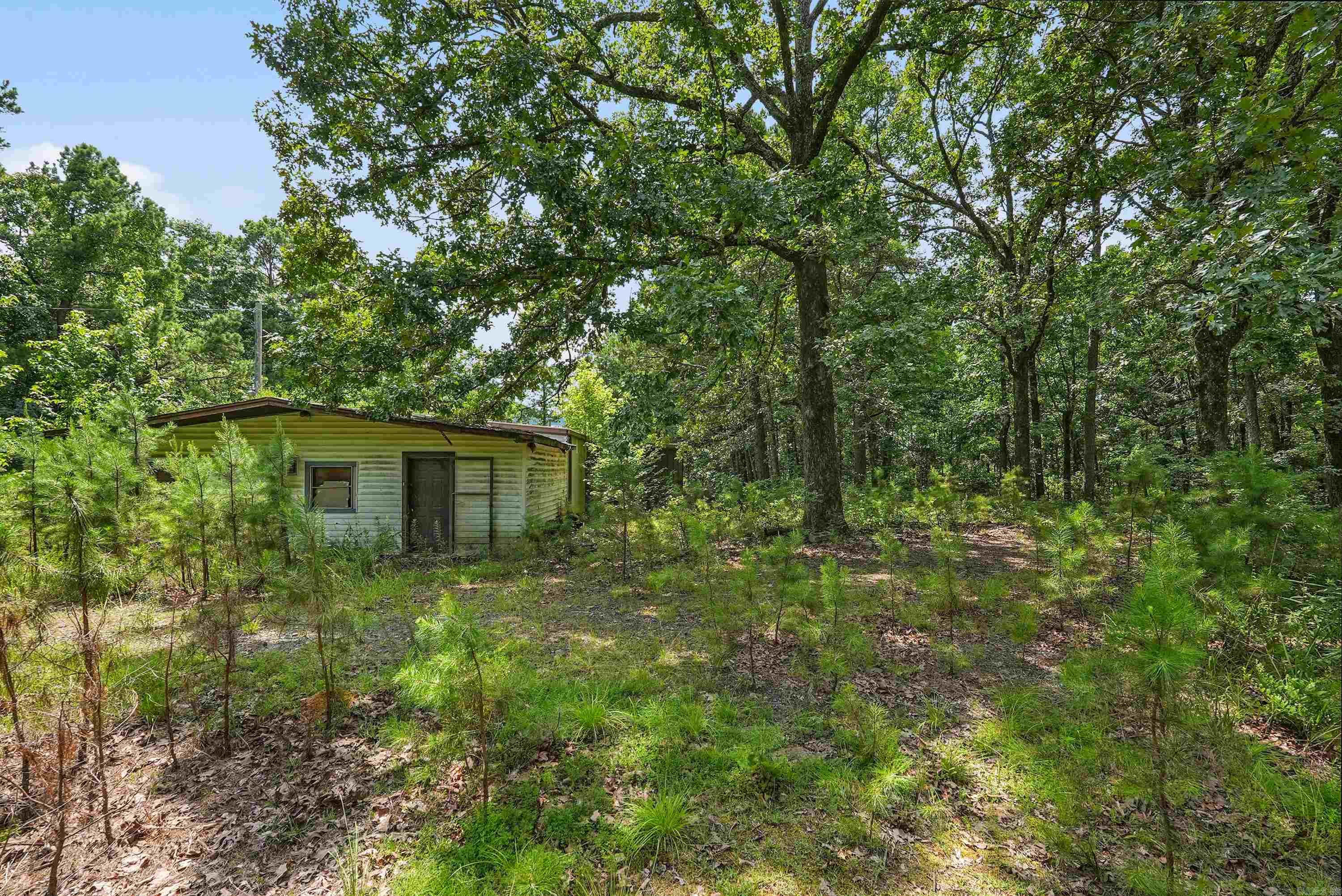 90 Mikoleit  Bigelow, AR
