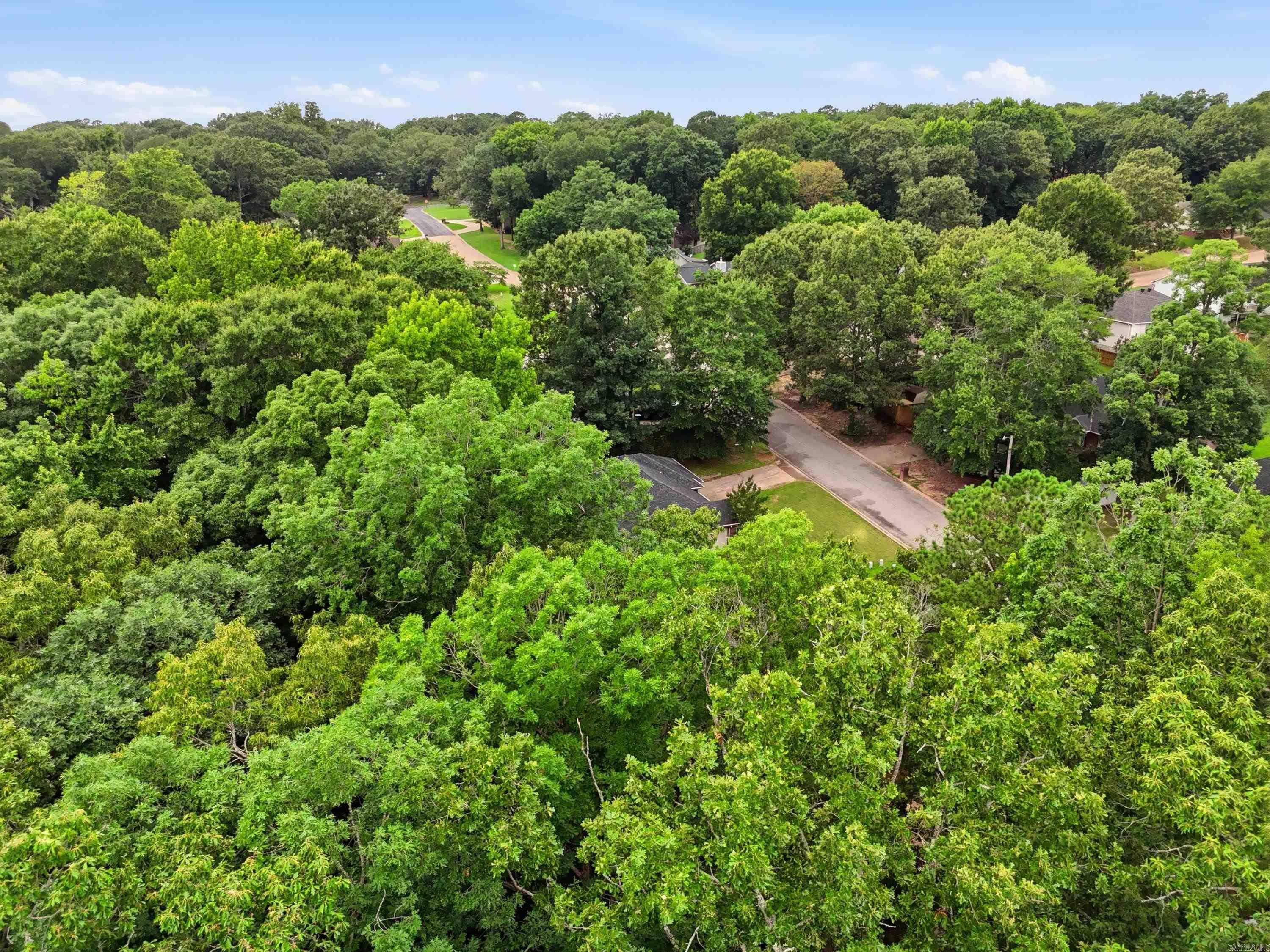 3013 W Greenbrier  Benton, AR
