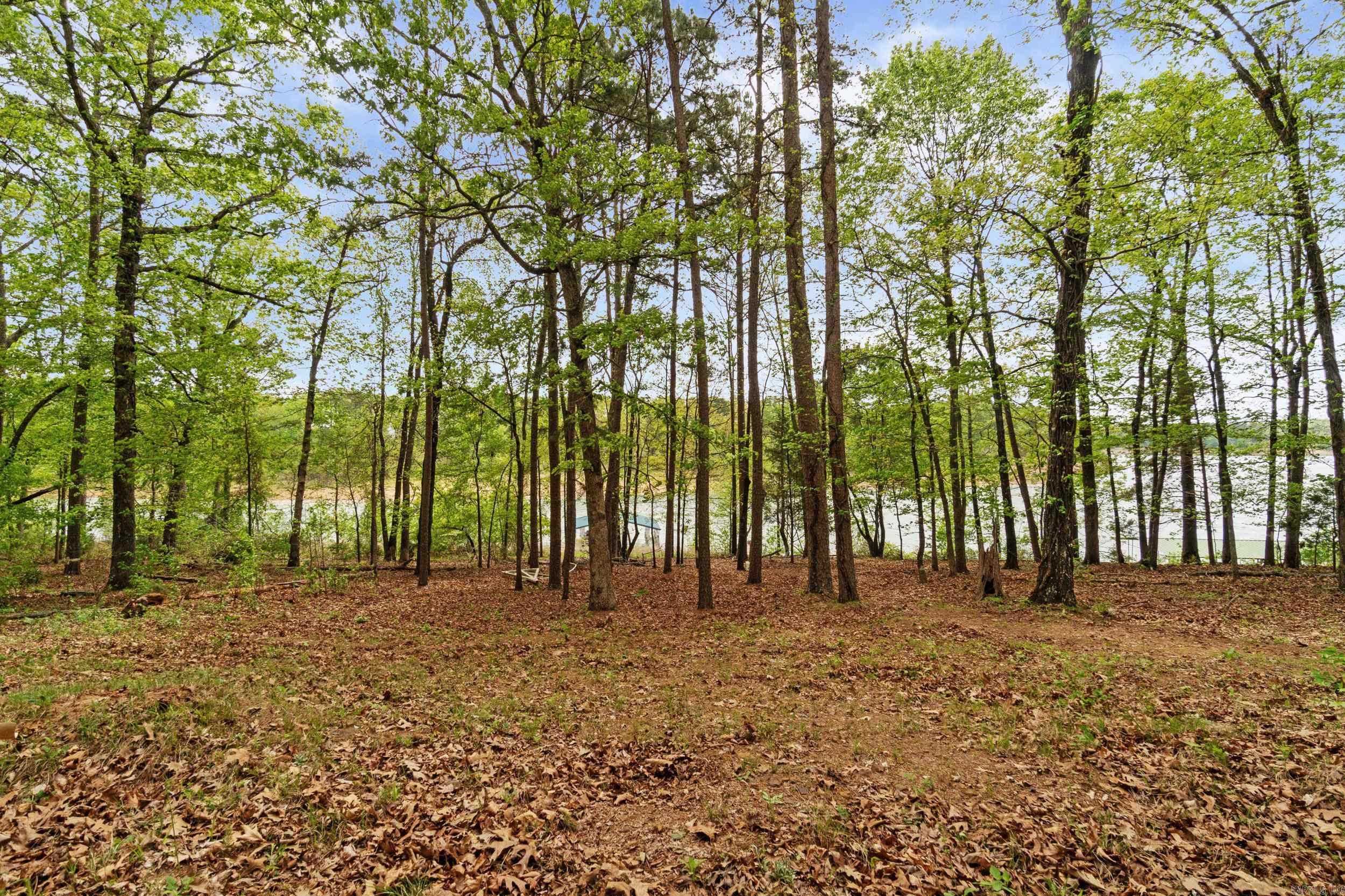 257 Lake Park  Shirley, AR
