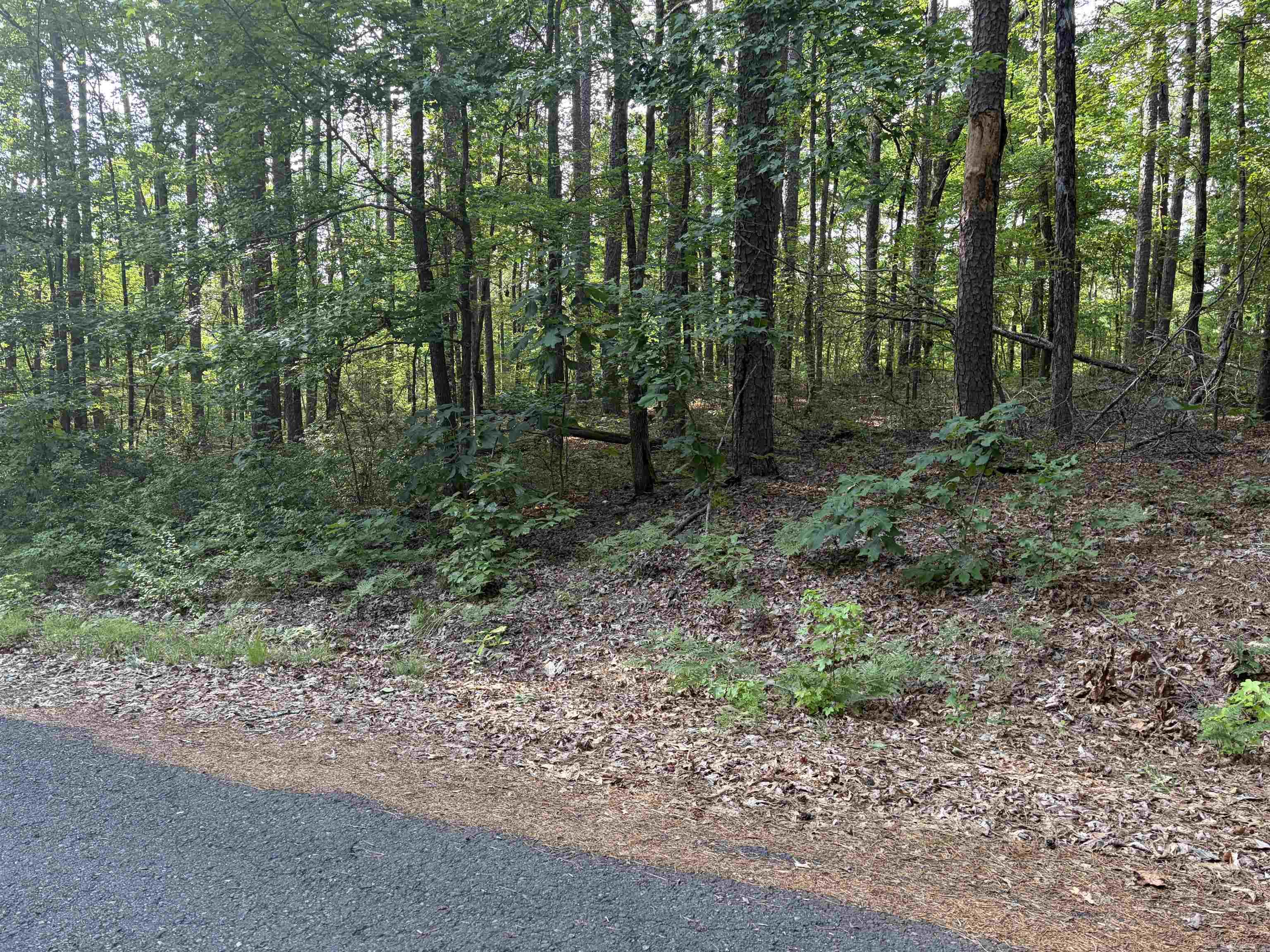 32 Grandilla  Hot Springs Village, AR