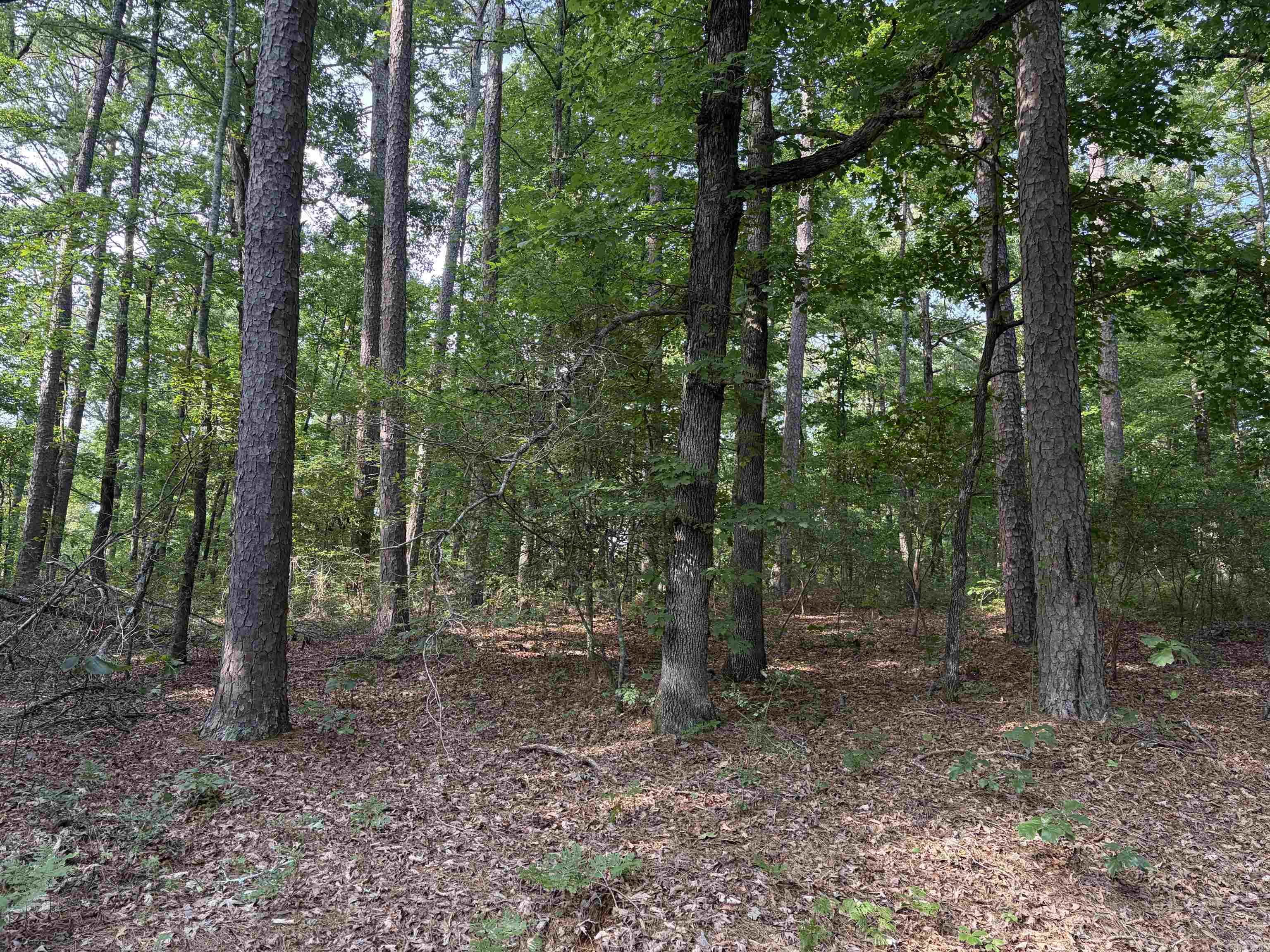 32 Grandilla  Hot Springs Village, AR