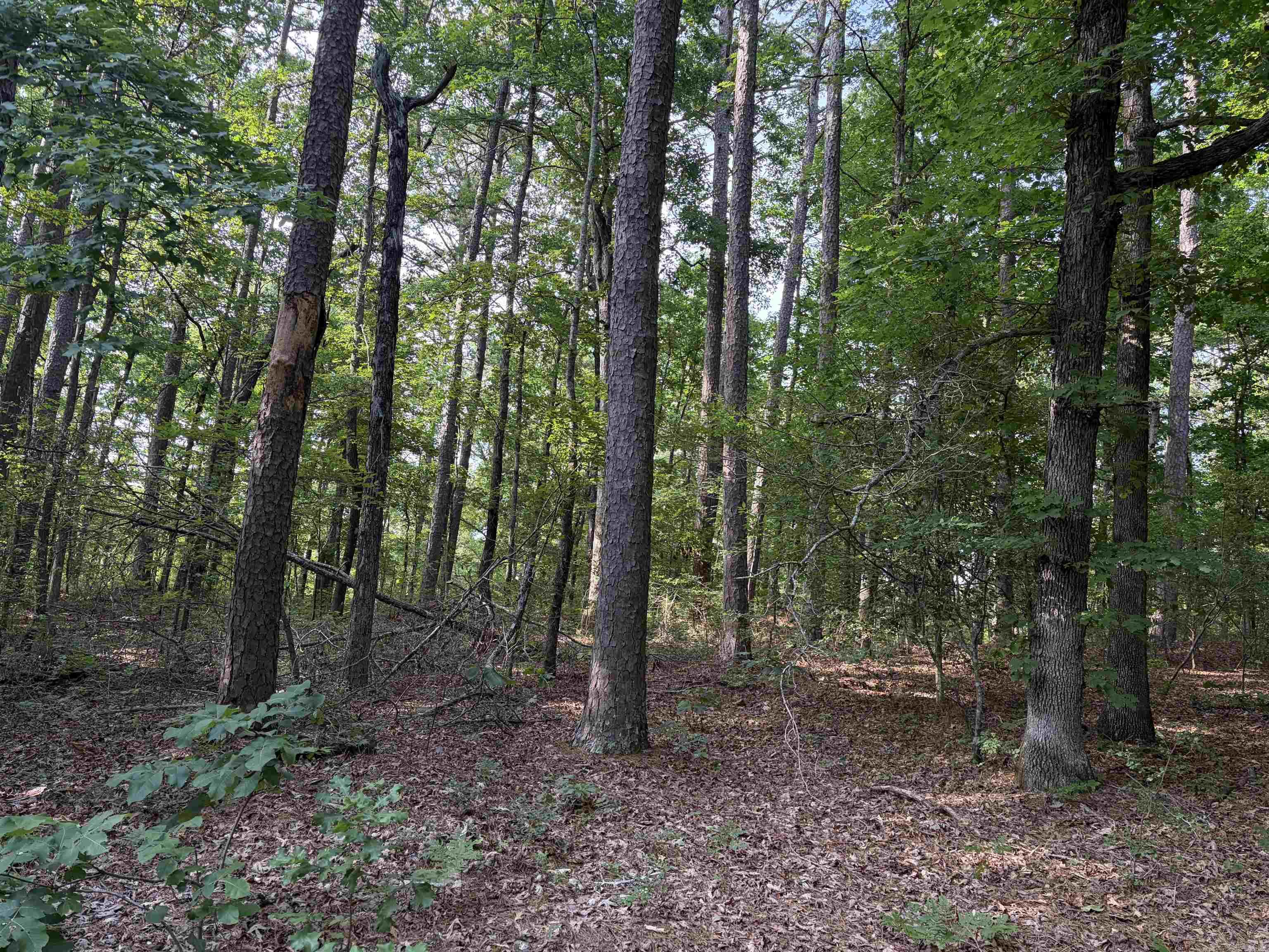 32 Grandilla  Hot Springs Village, AR