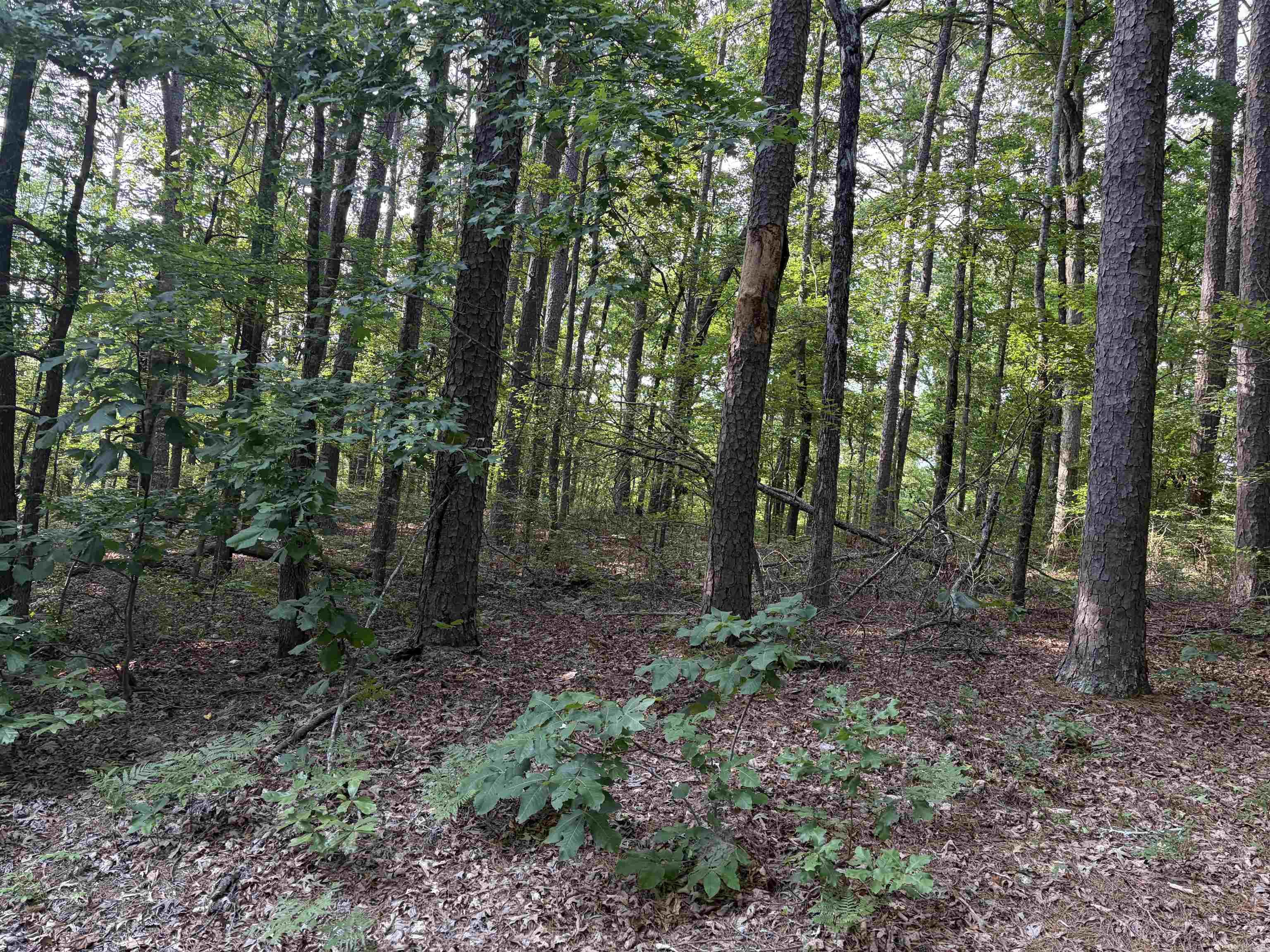 32 Grandilla  Hot Springs Village, AR