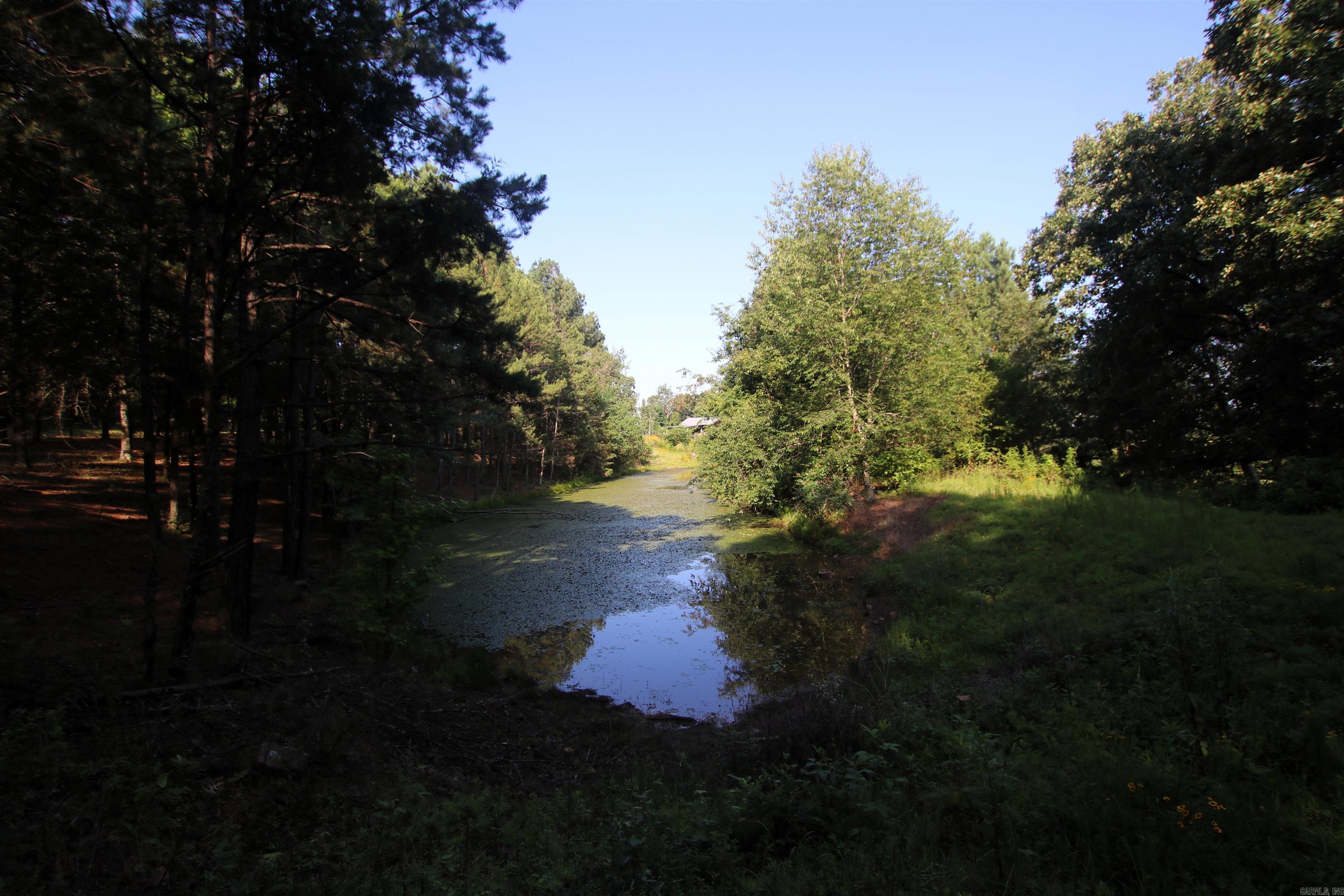 35 Cedar Creek  Jerusalem, AR