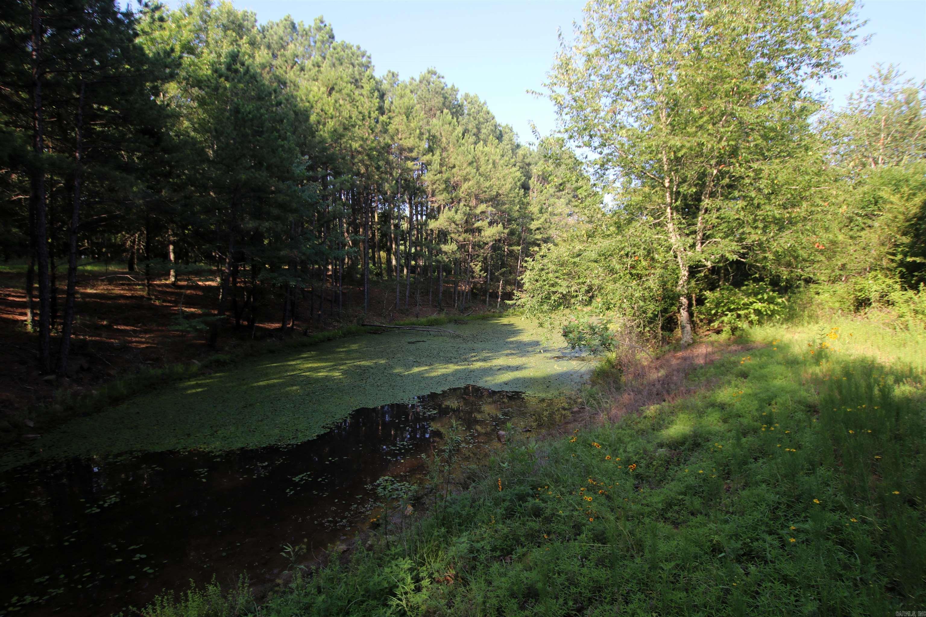 35 Cedar Creek  Jerusalem, AR