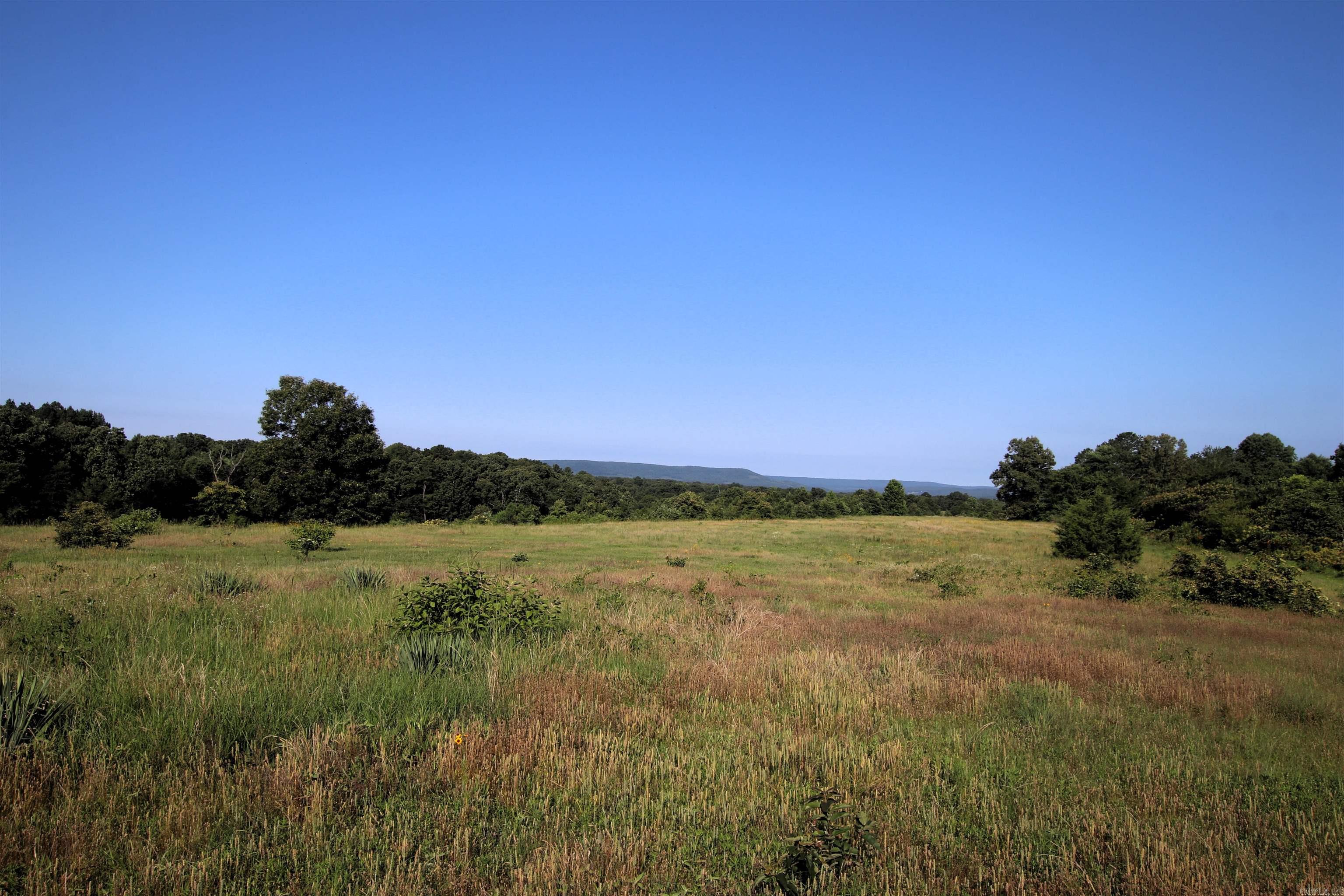 35 Cedar Creek  Jerusalem, AR