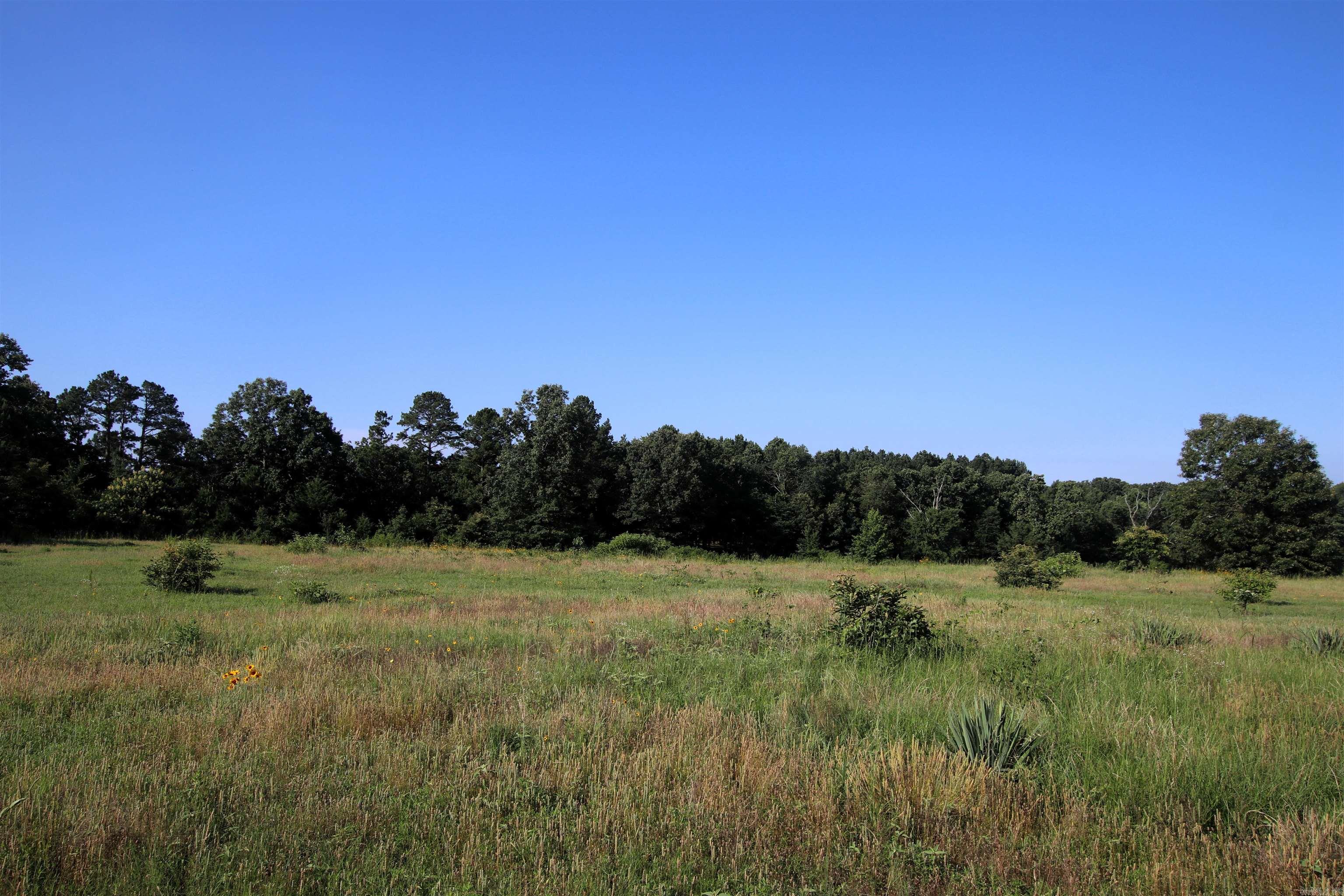 35 Cedar Creek  Jerusalem, AR