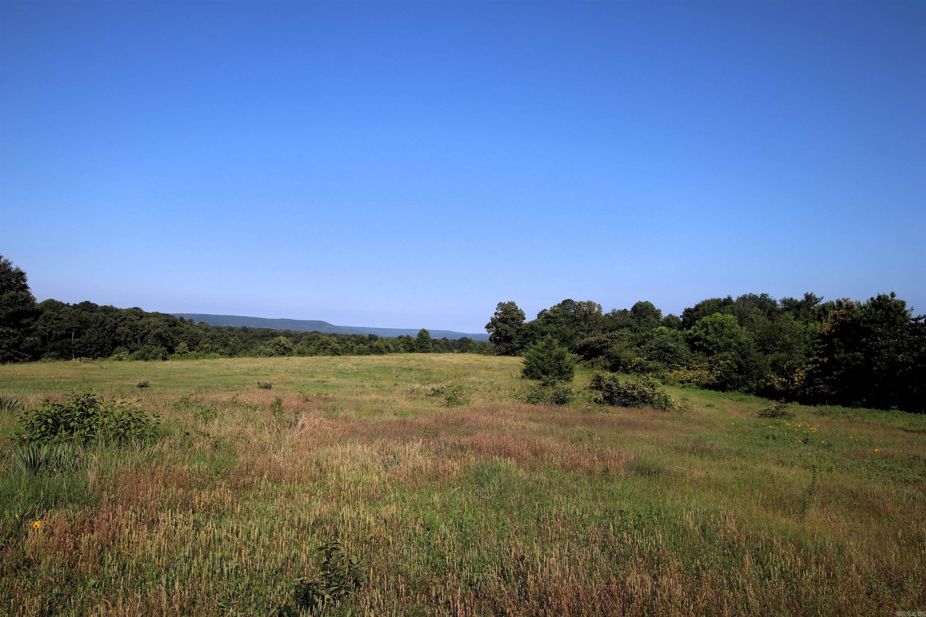 35 Cedar Creek  Jerusalem, AR