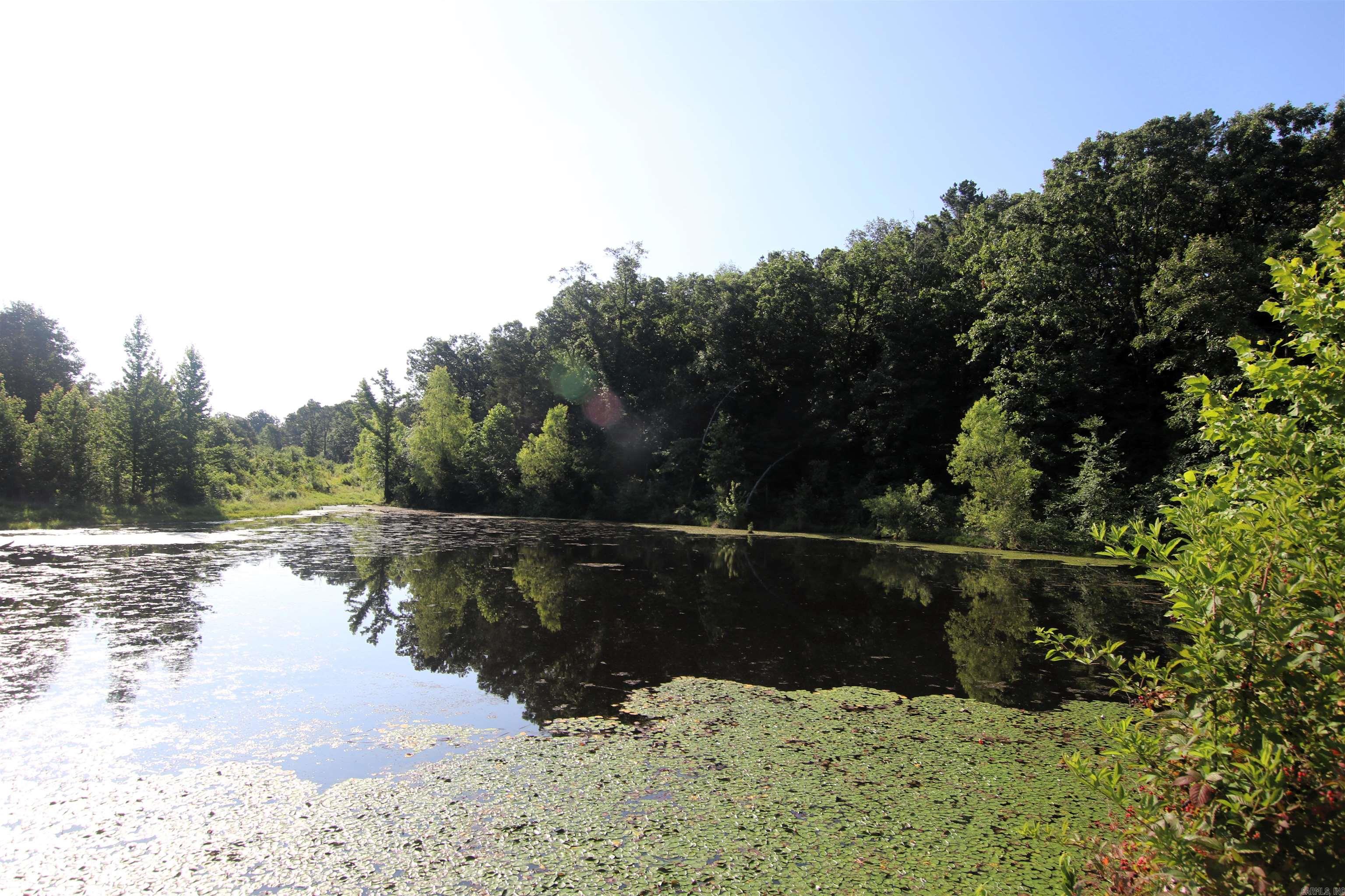 35 Cedar Creek  Jerusalem, AR