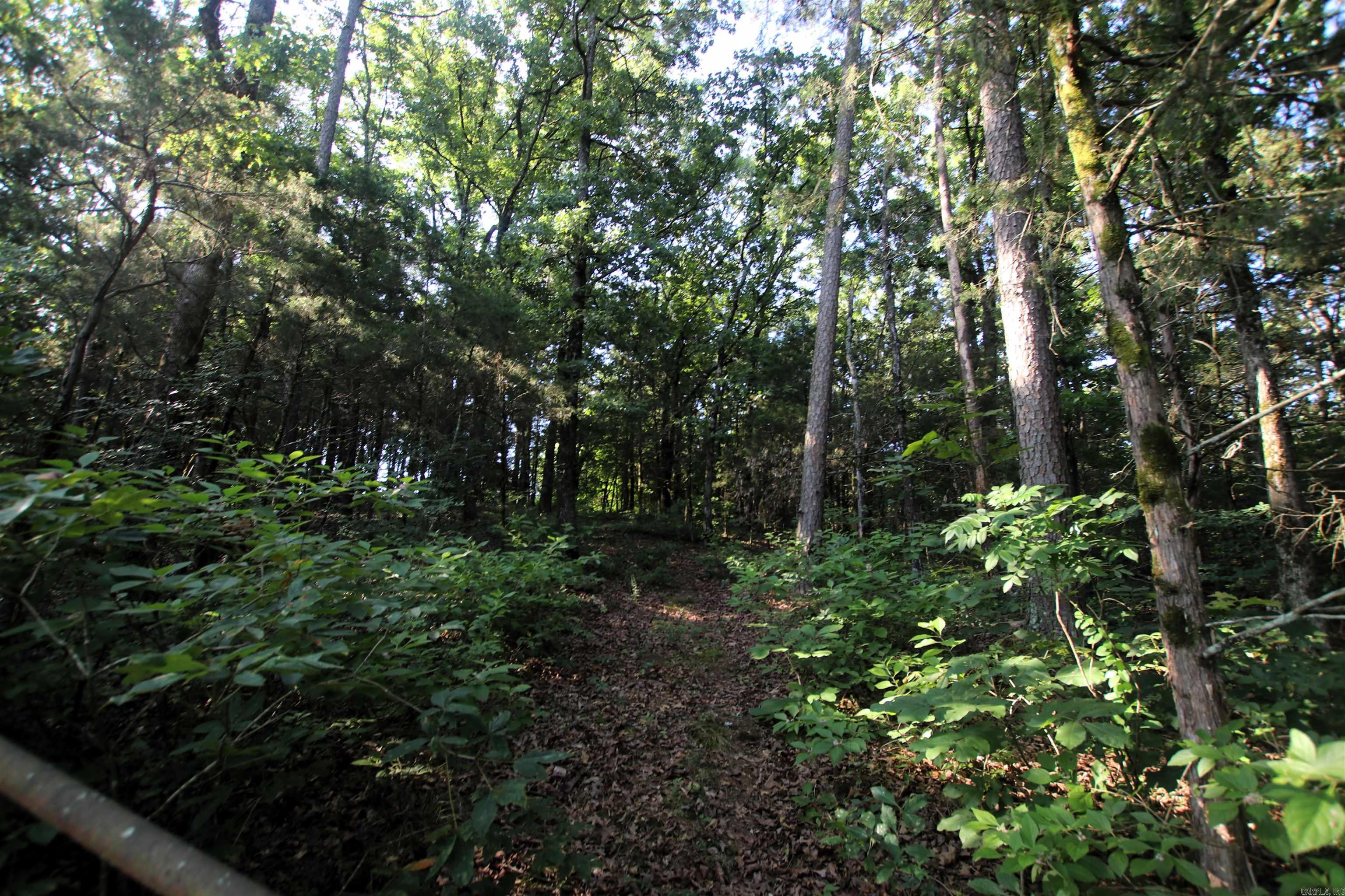 35 Cedar Creek  Jerusalem, AR
