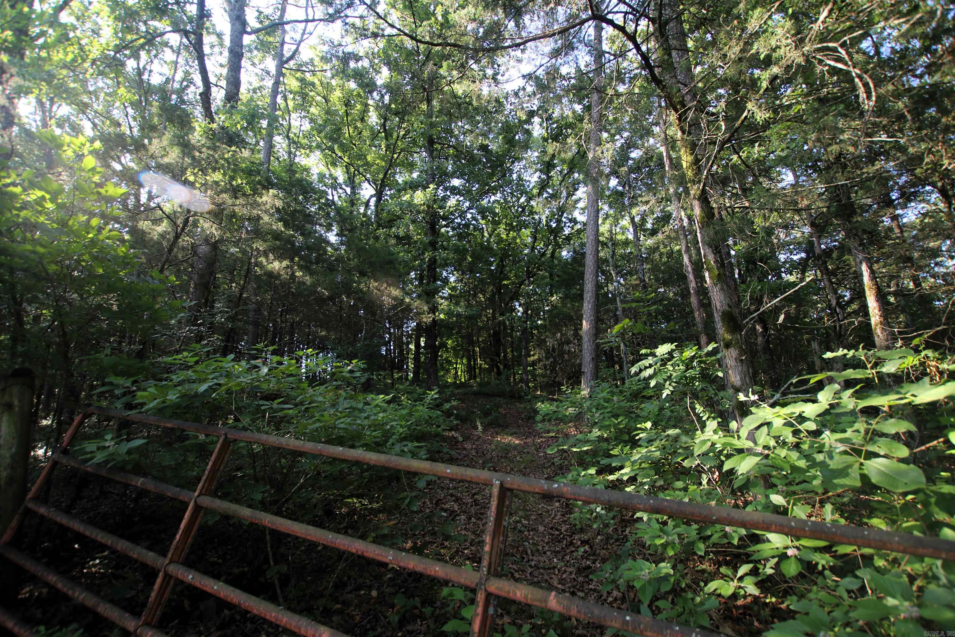 35 Cedar Creek  Jerusalem, AR