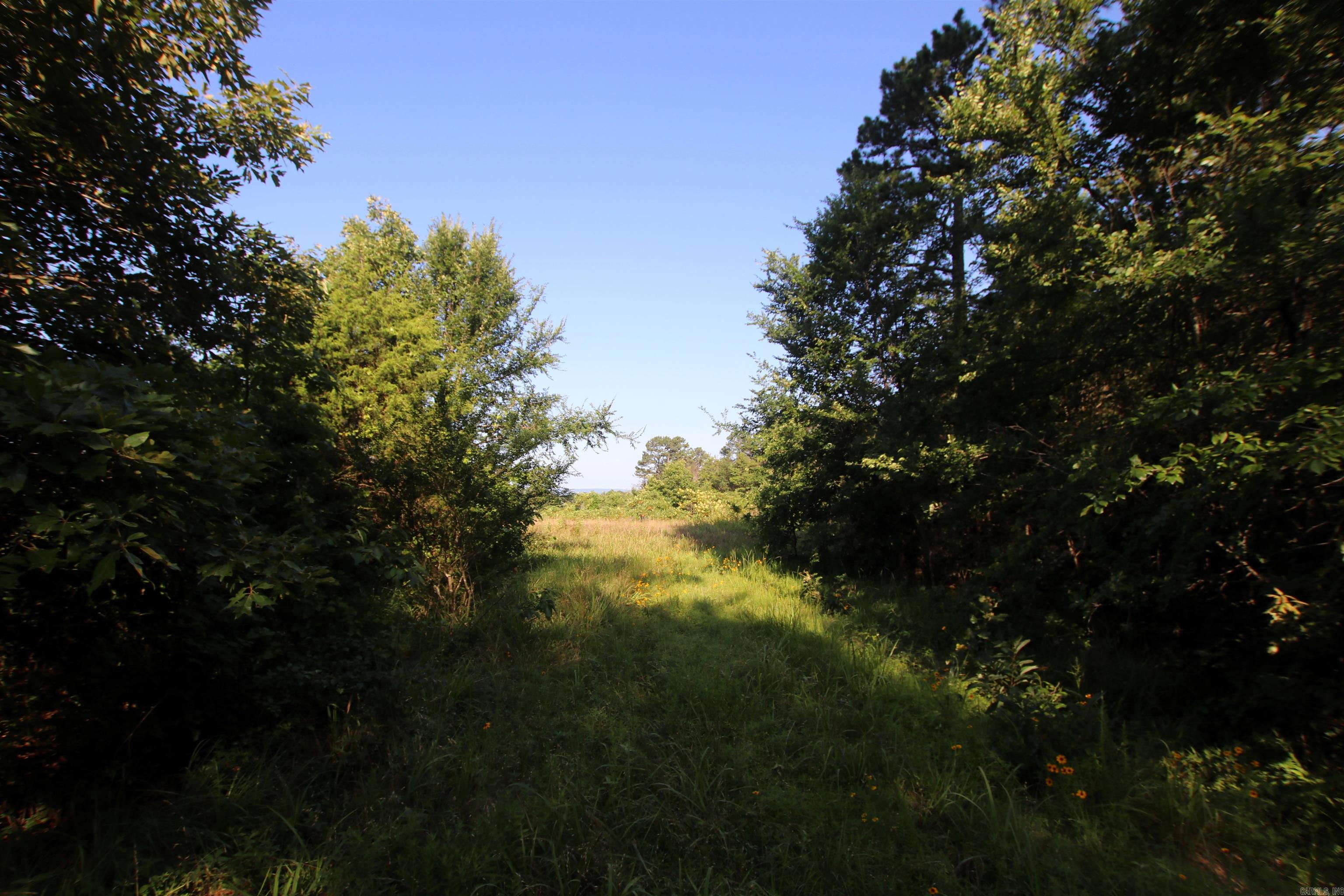 35 Cedar Creek  Jerusalem, AR