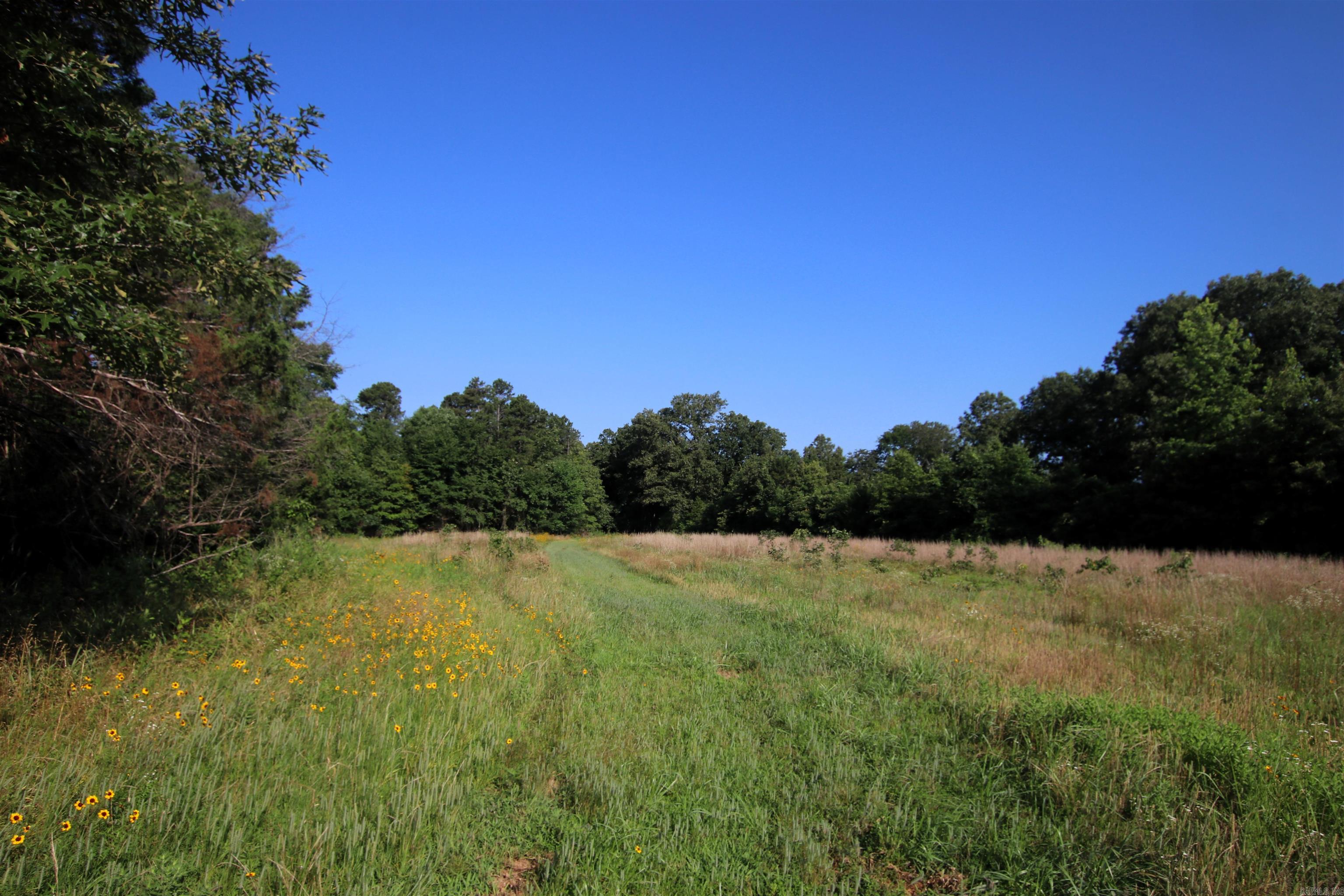 35 Cedar Creek  Jerusalem, AR
