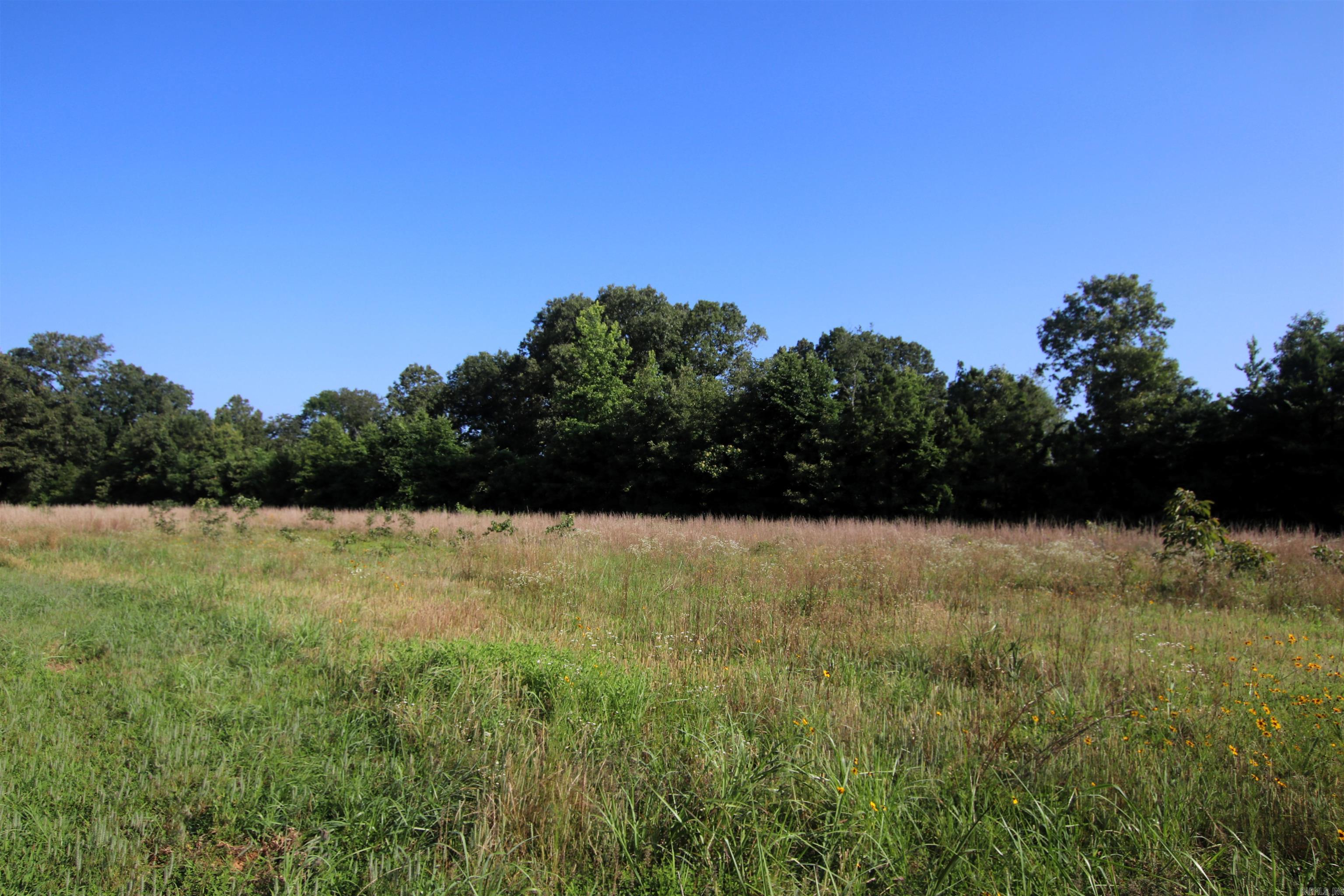 35 Cedar Creek  Jerusalem, AR