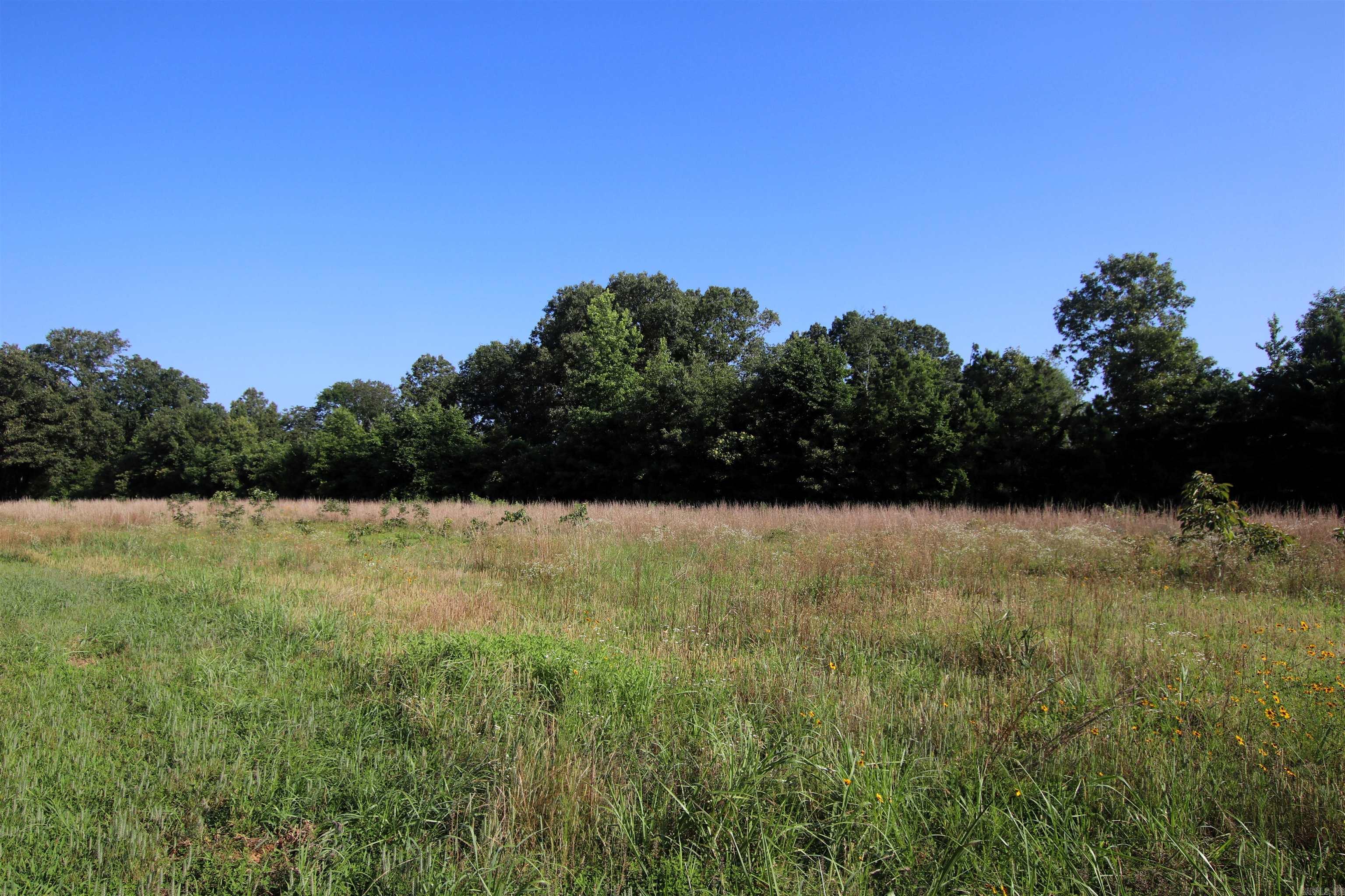 35 Cedar Creek  Jerusalem, AR