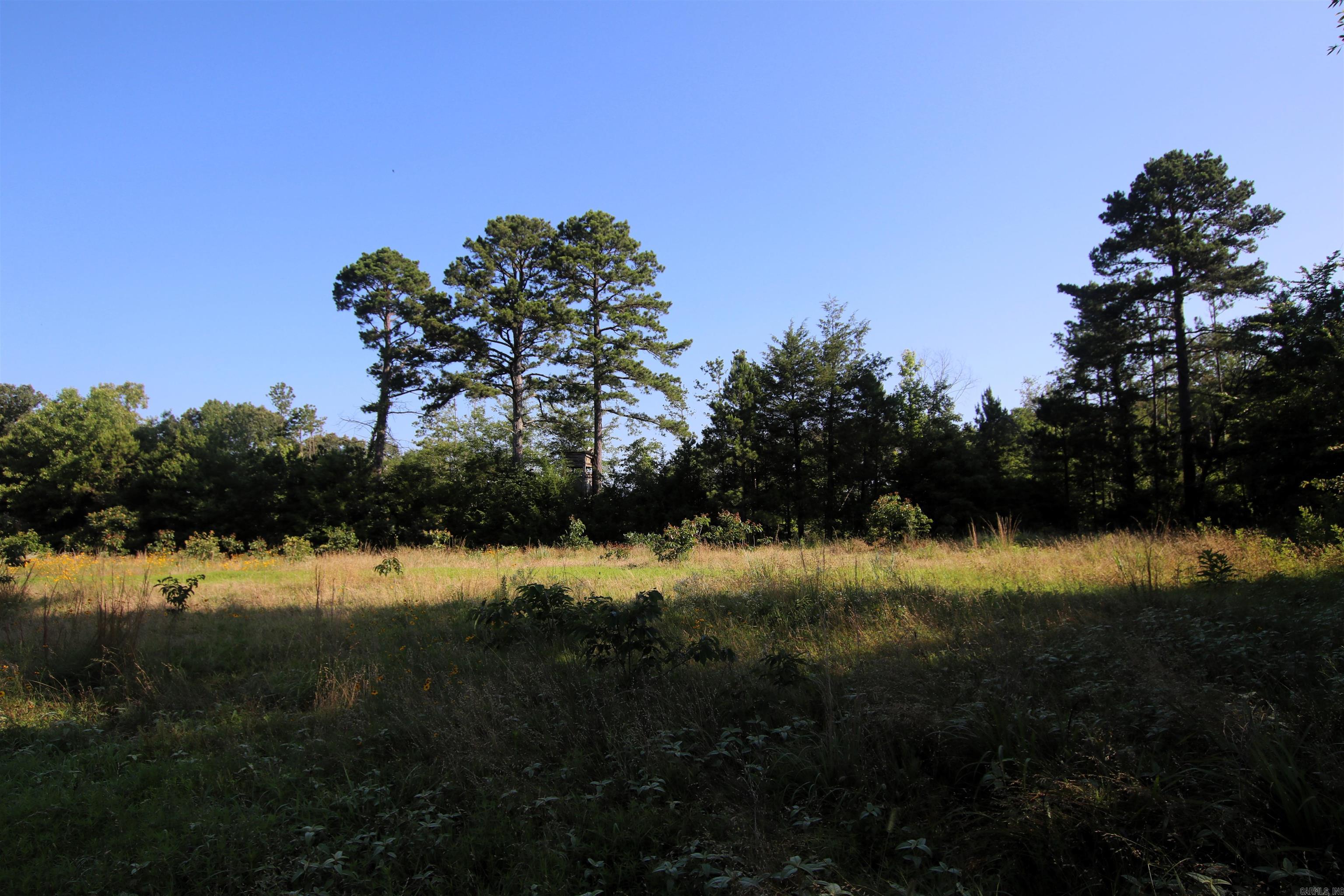 35 Cedar Creek  Jerusalem, AR