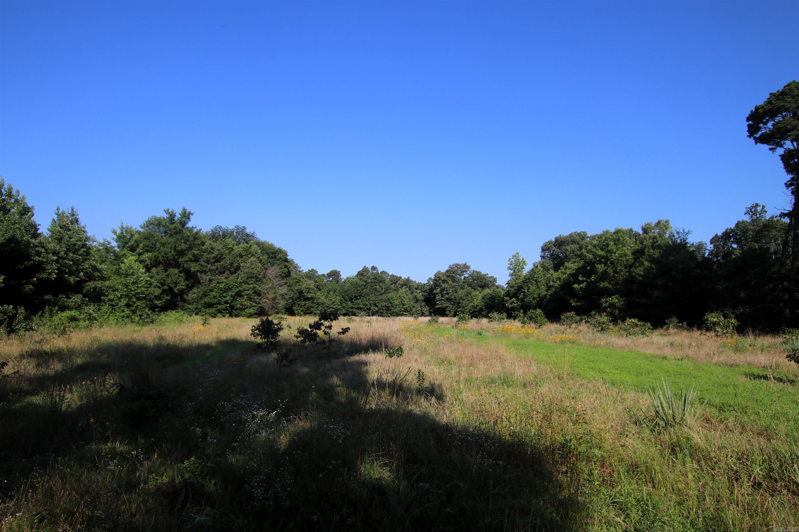 35 Cedar Creek  Jerusalem, AR