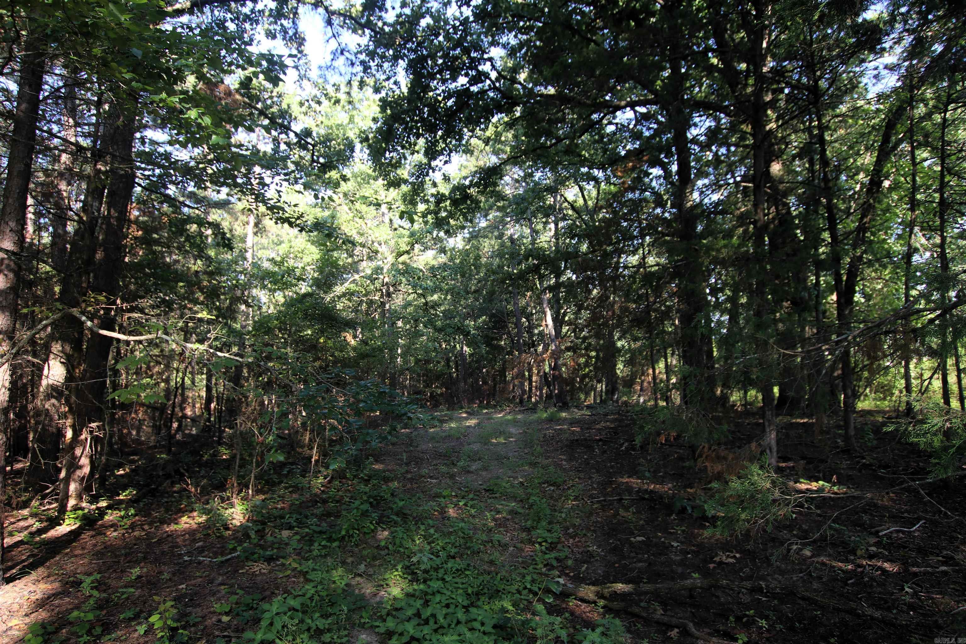 35 Cedar Creek  Jerusalem, AR
