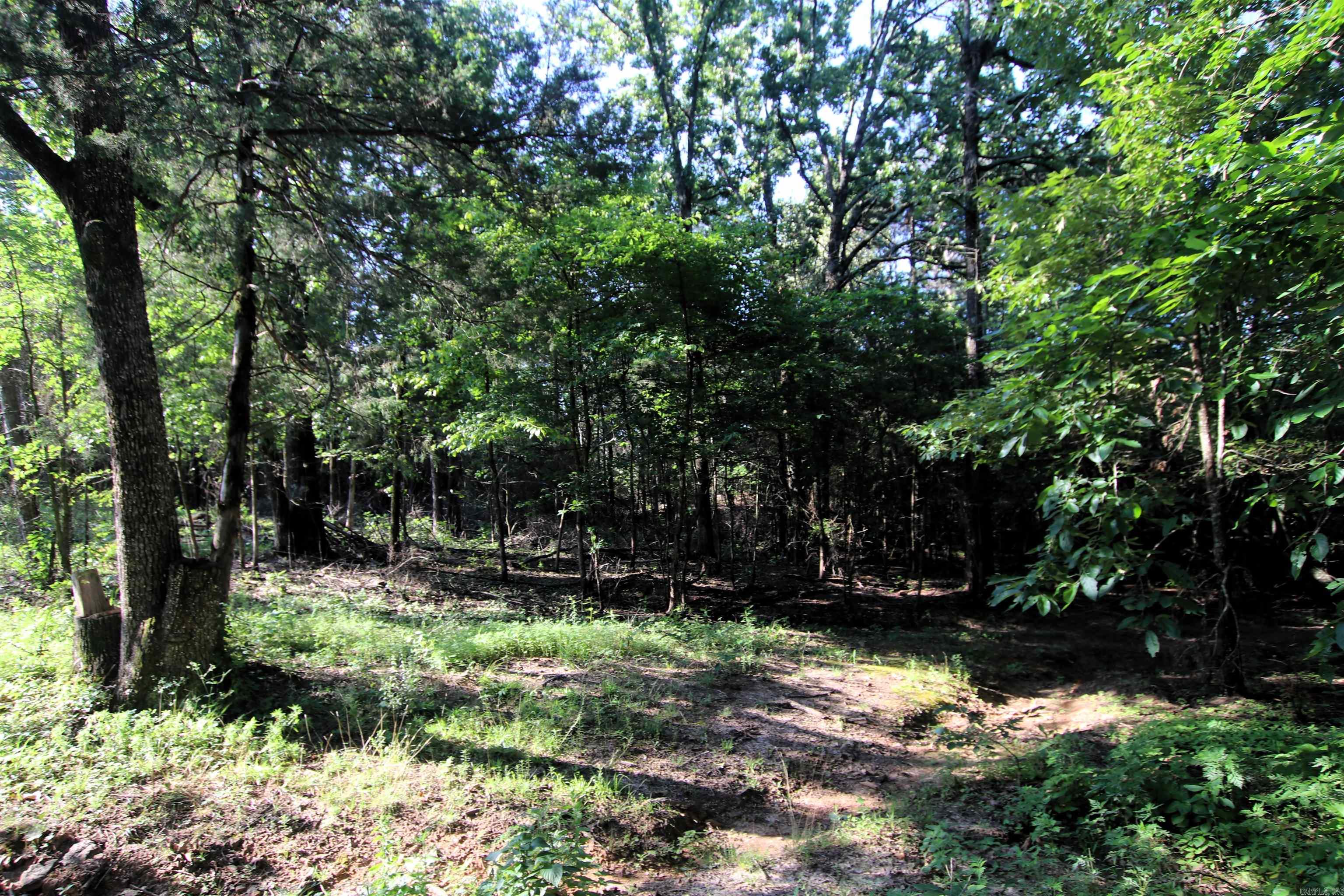 35 Cedar Creek  Jerusalem, AR