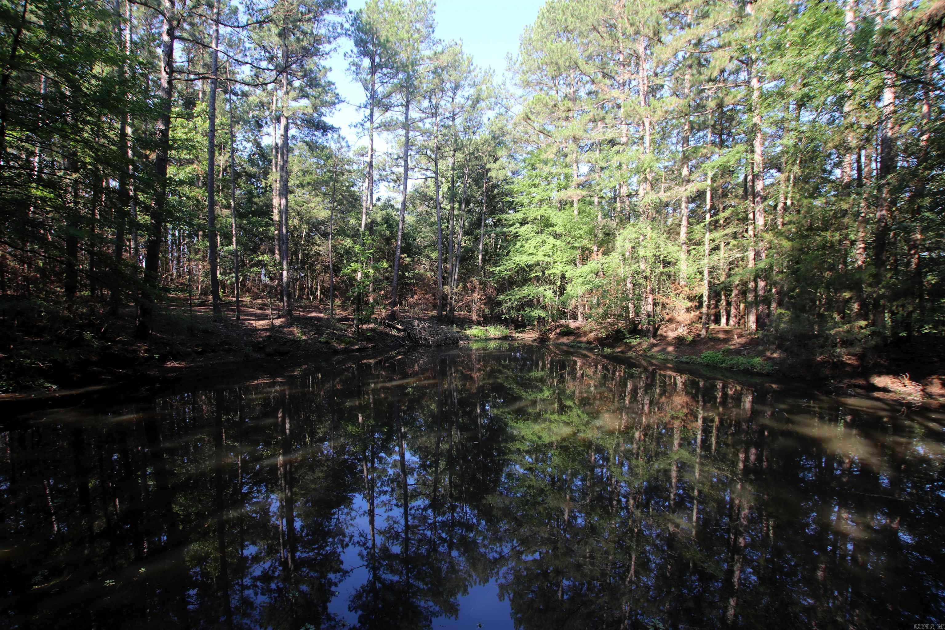 35 Cedar Creek  Jerusalem, AR