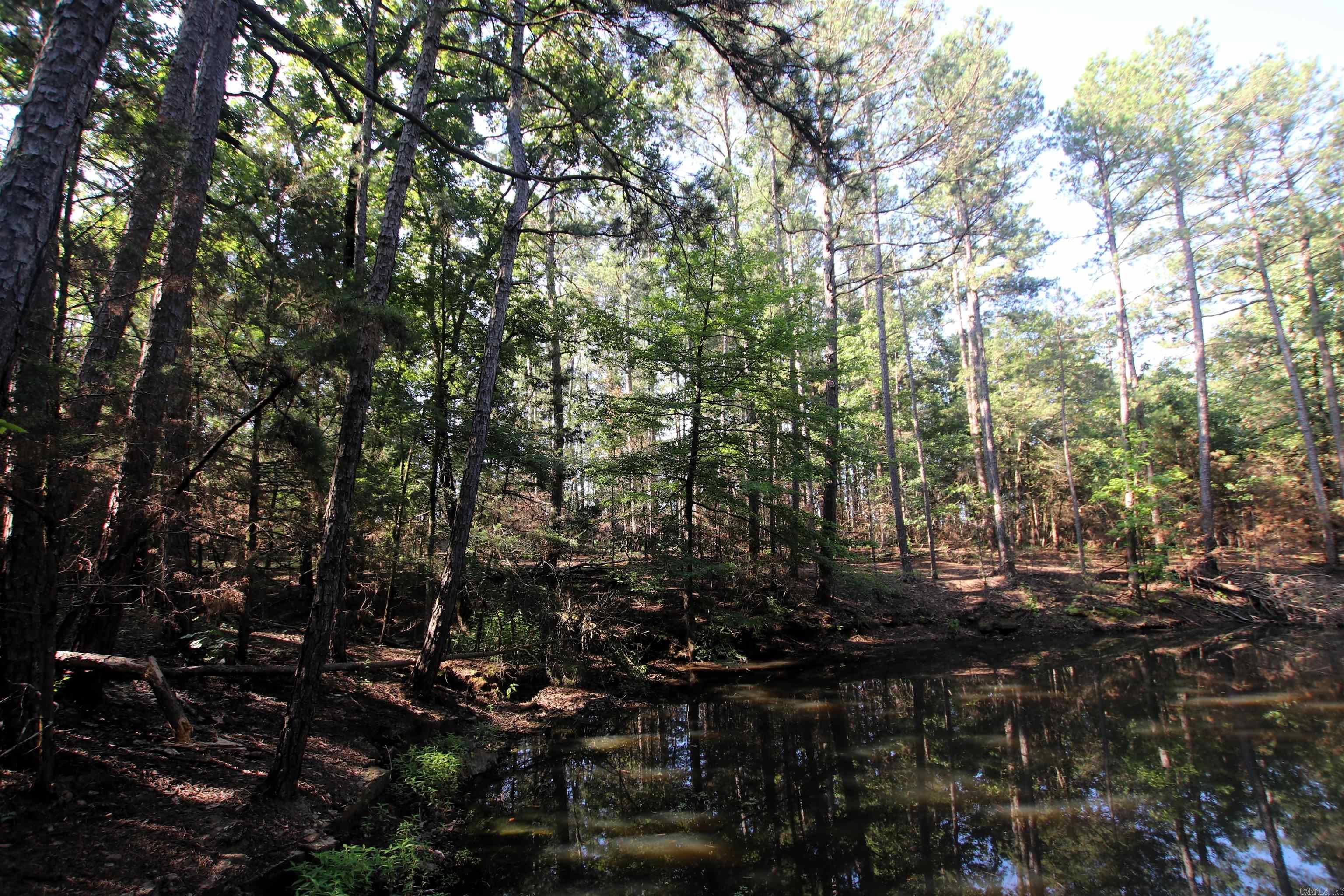 35 Cedar Creek  Jerusalem, AR
