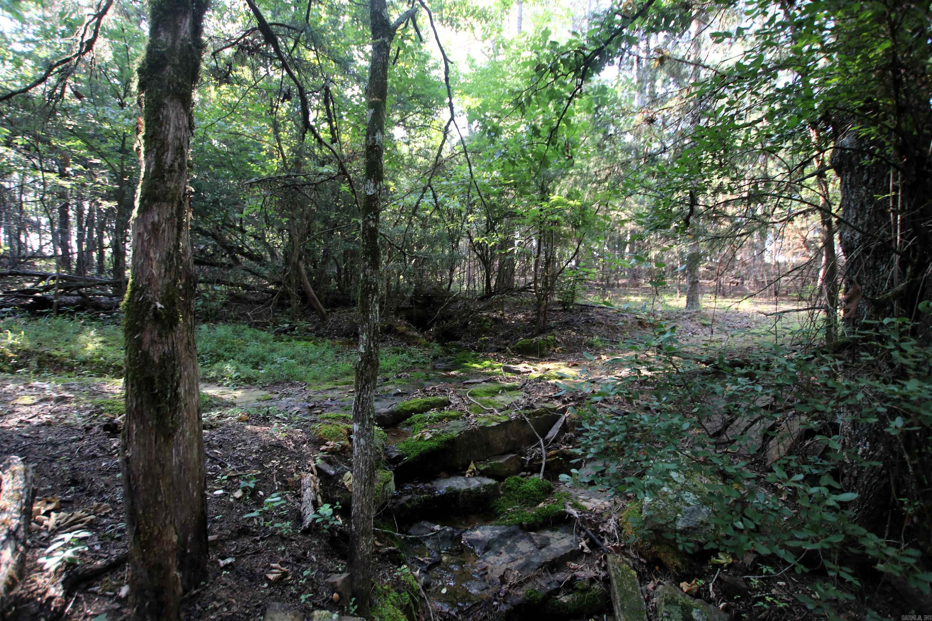 35 Cedar Creek  Jerusalem, AR