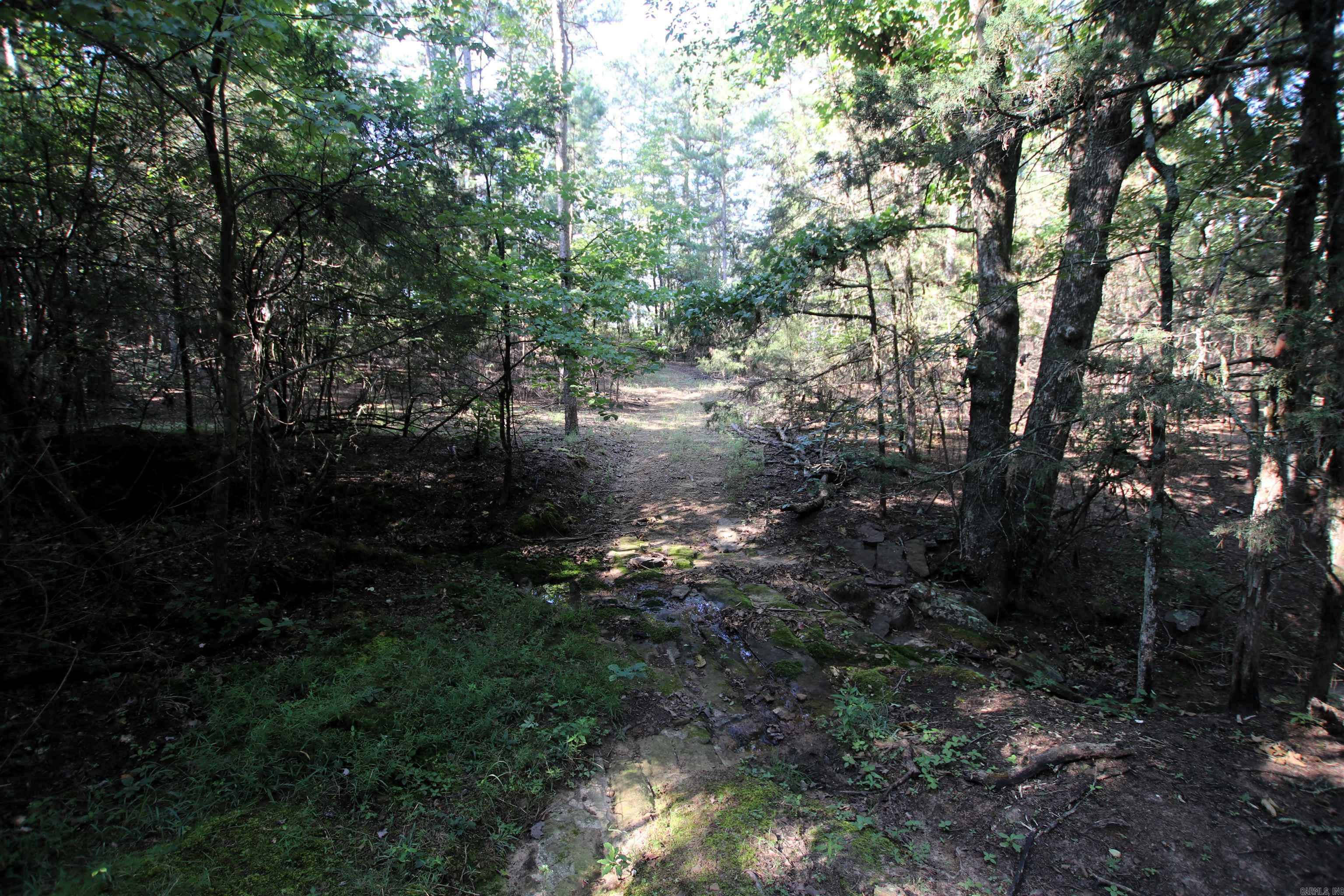 35 Cedar Creek  Jerusalem, AR
