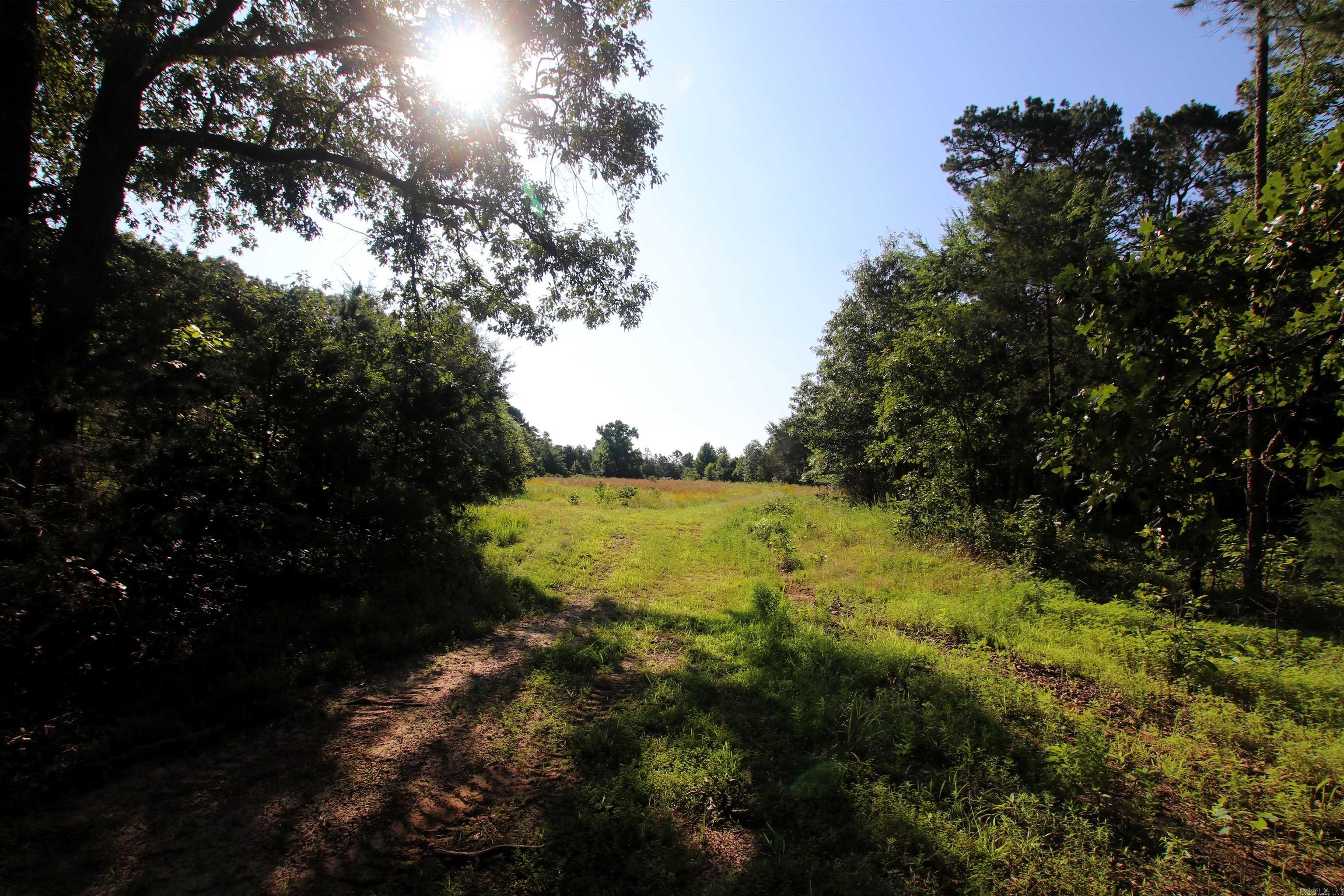 35 Cedar Creek  Jerusalem, AR