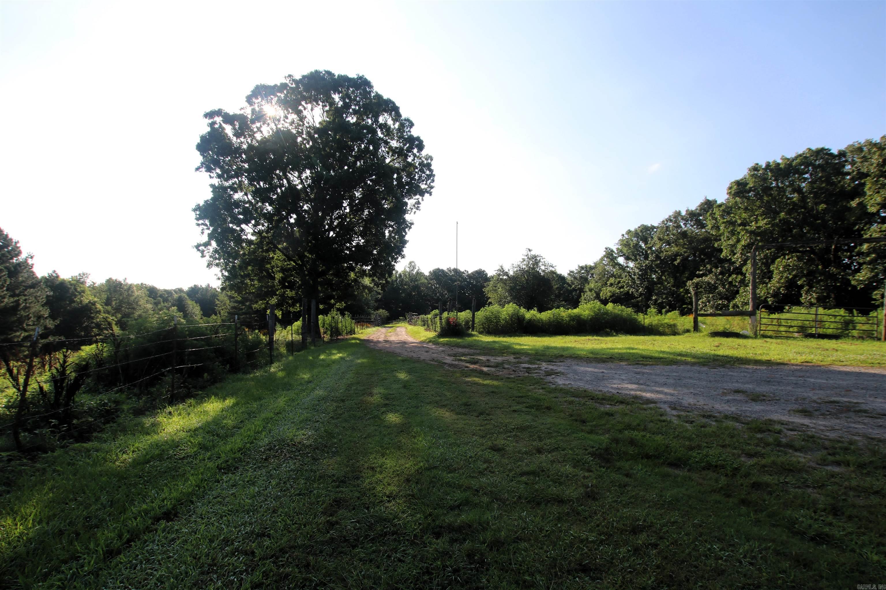 35 Cedar Creek  Jerusalem, AR