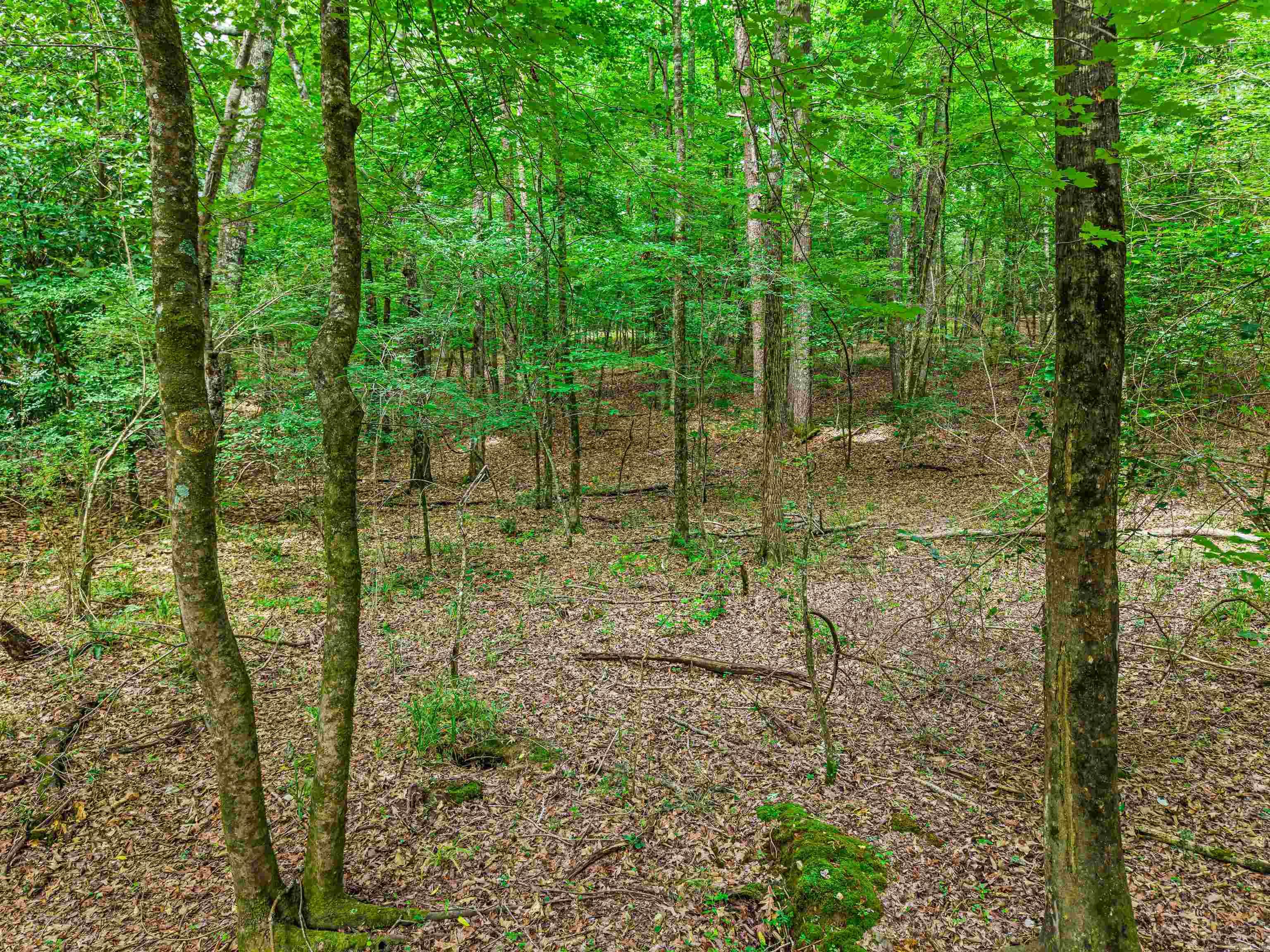 TBD Fox Pass Cutoff  Hot Springs, AR