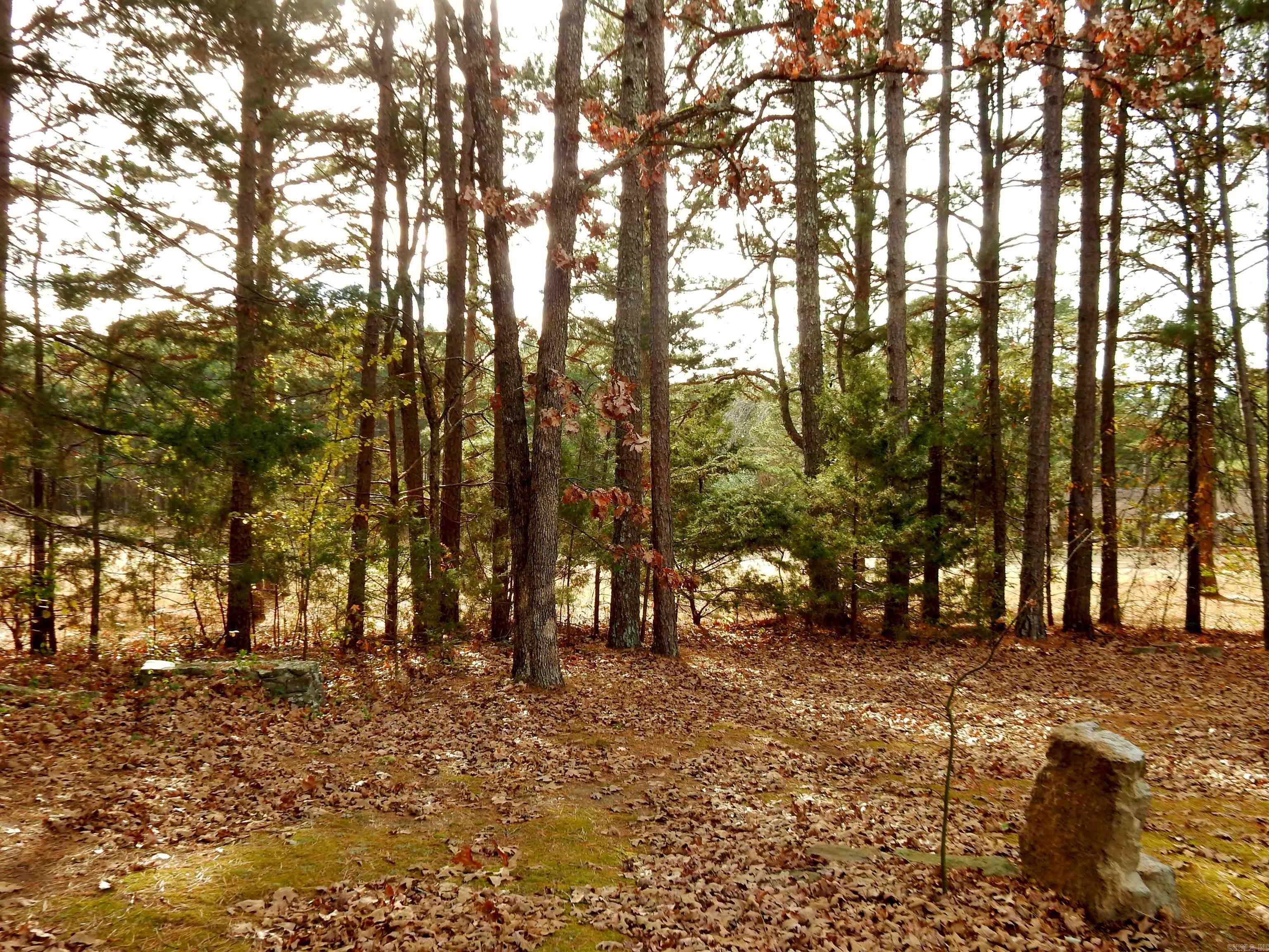 106 Stafford  Fairfield Bay, AR