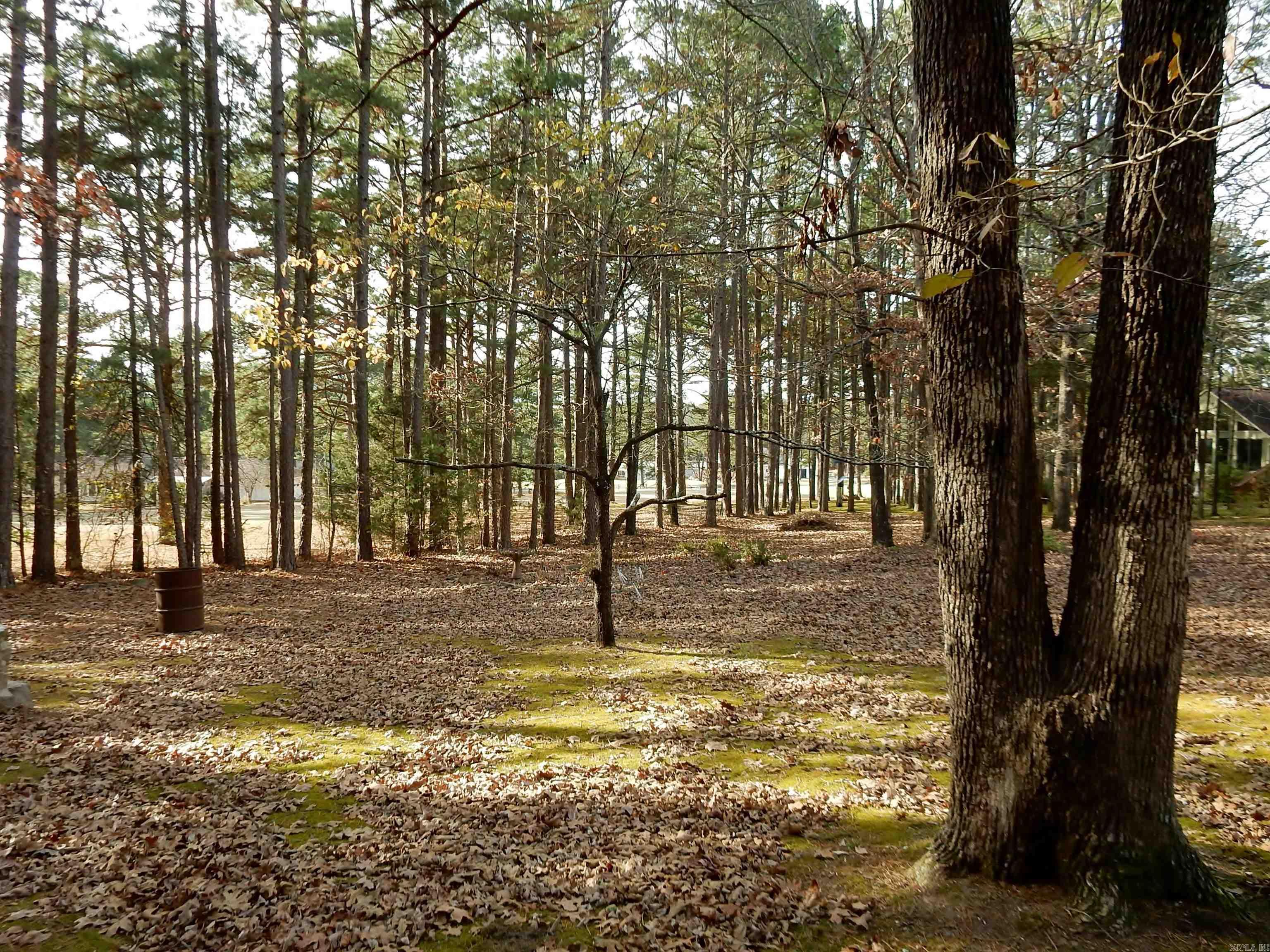 106 Stafford  Fairfield Bay, AR