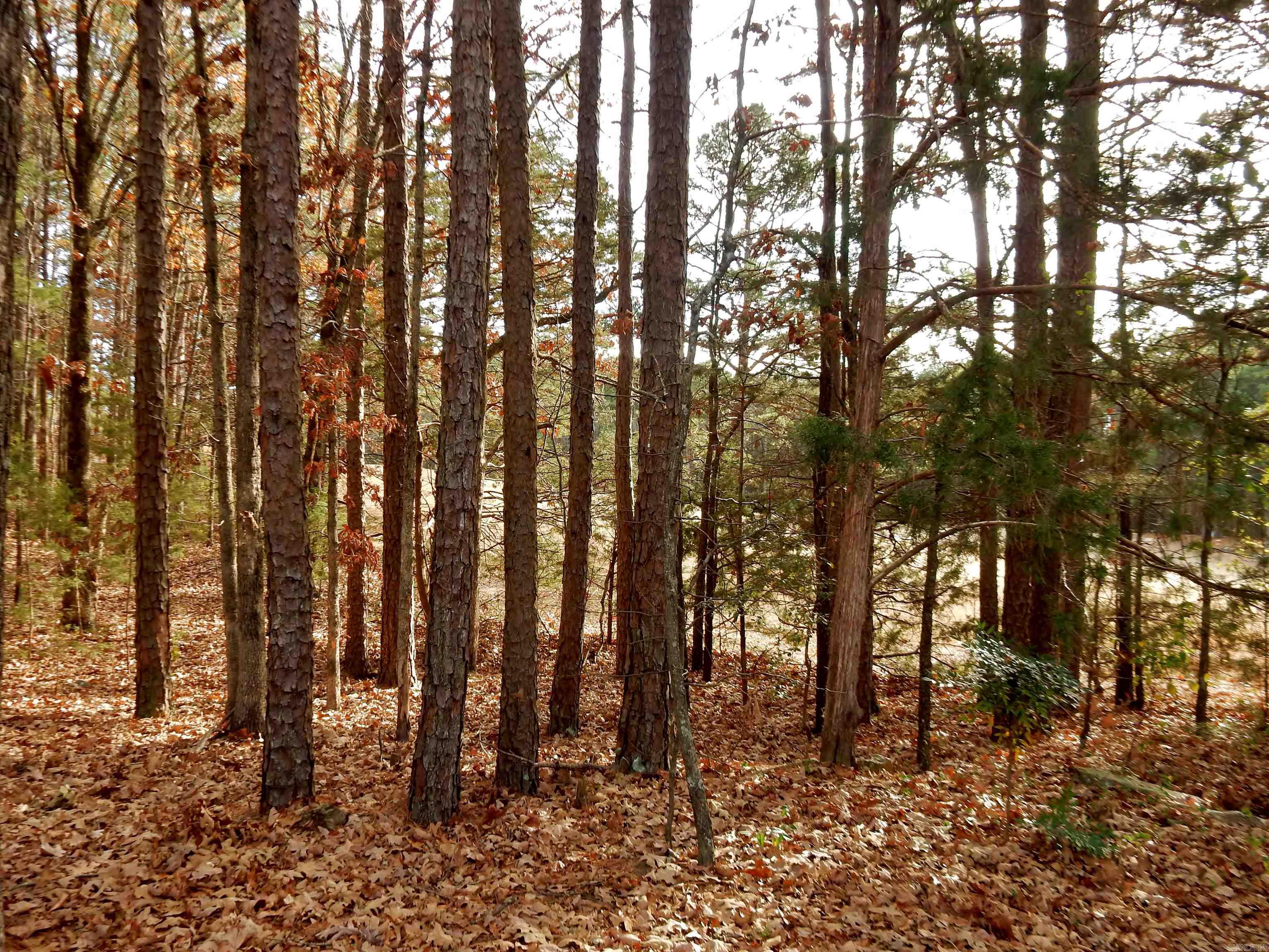 106 Stafford  Fairfield Bay, AR