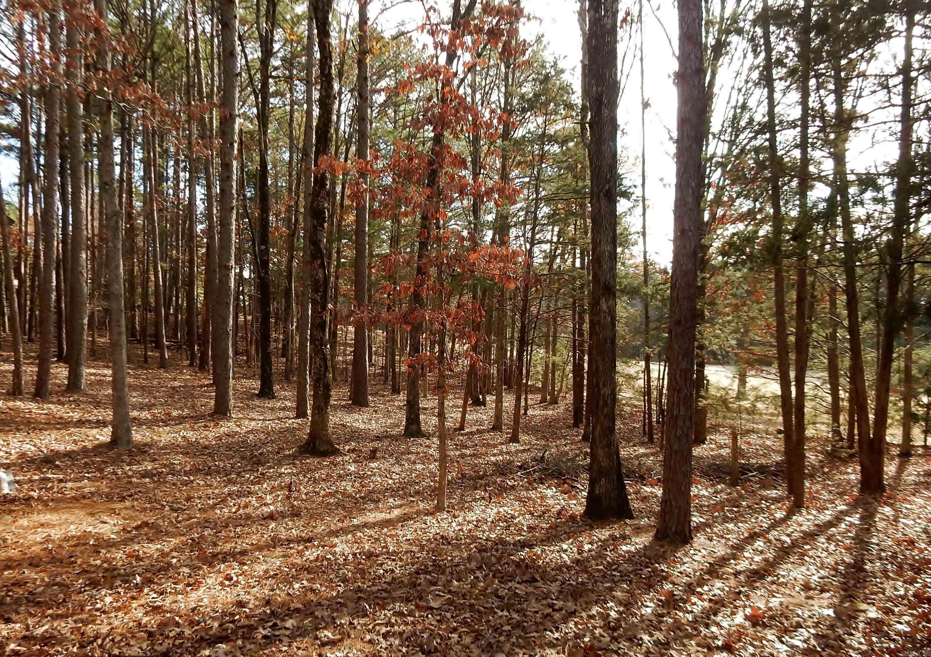 106 Stafford  Fairfield Bay, AR