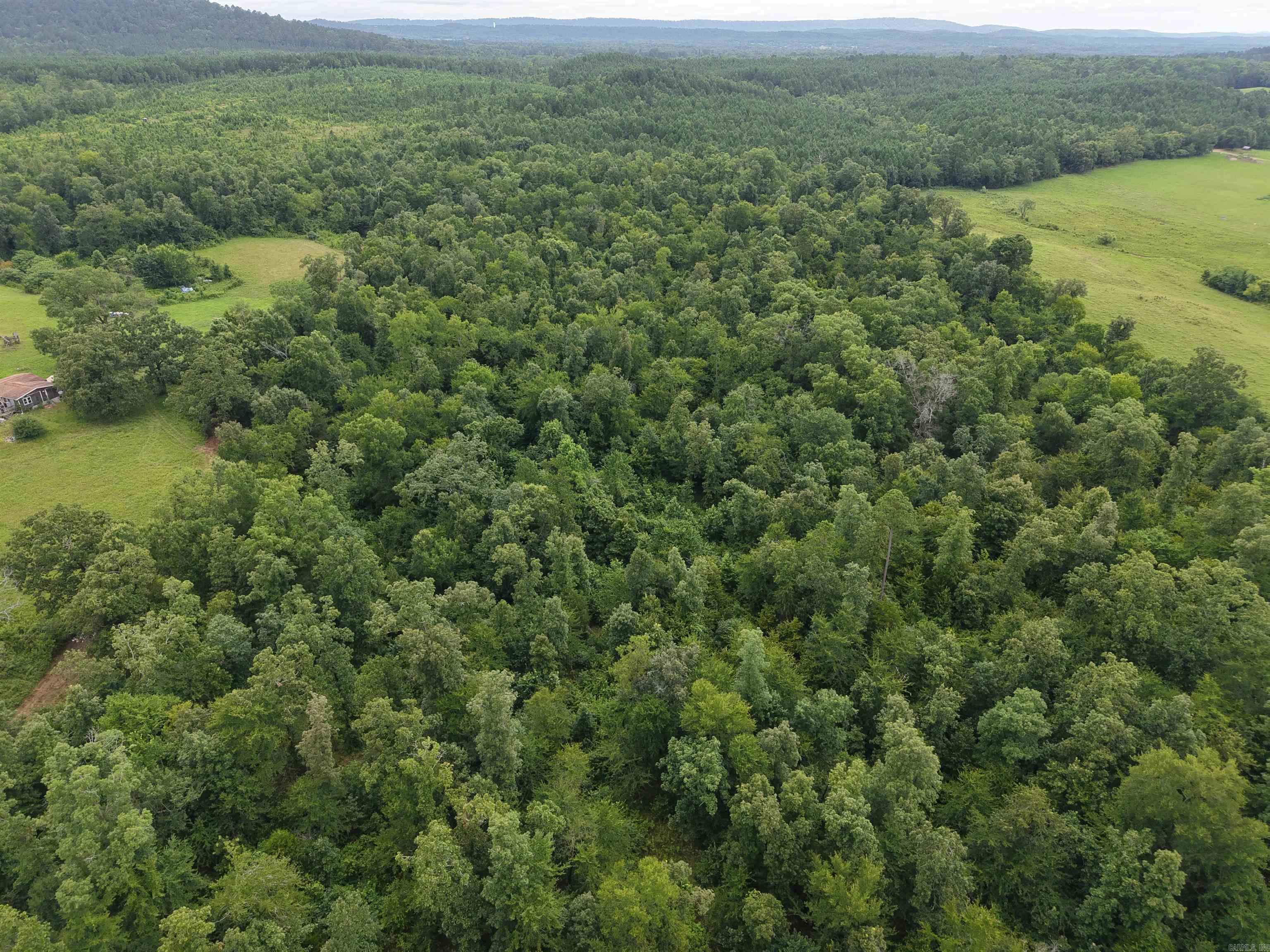 XXX Nubbin Ridge  Royal, AR