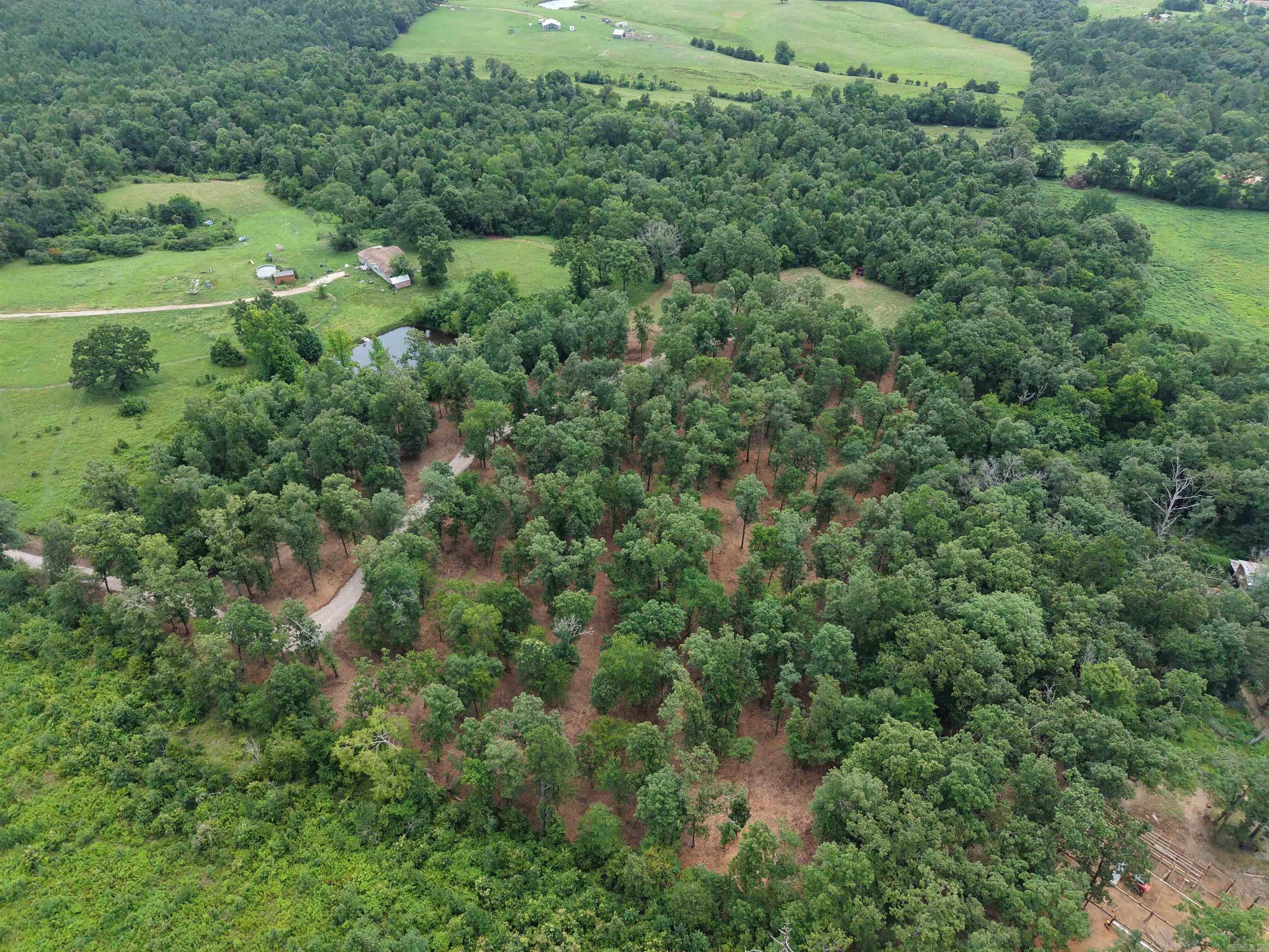 XXX Nubbin Ridge  Royal, AR