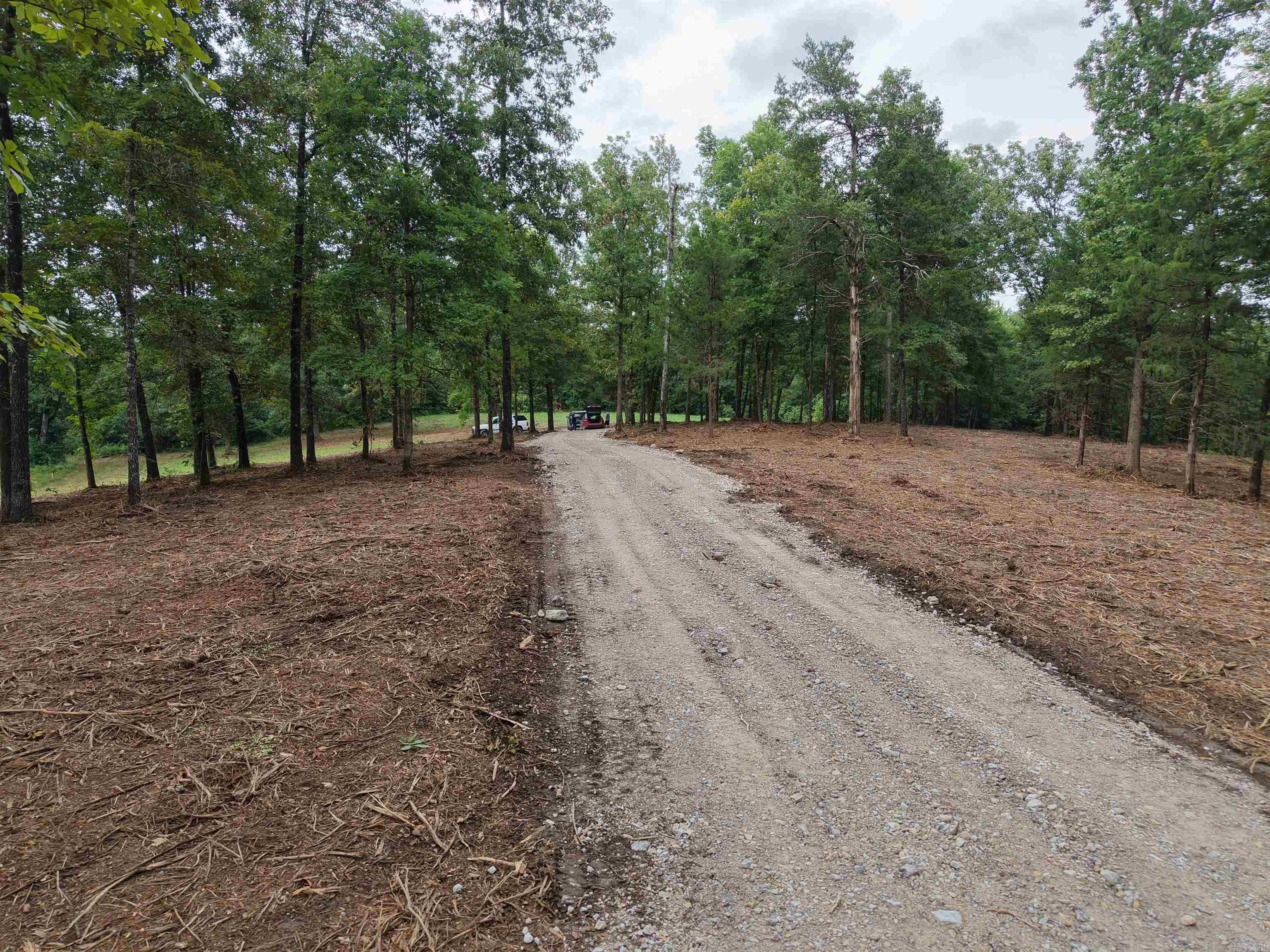XXX Nubbin Ridge  Royal, AR