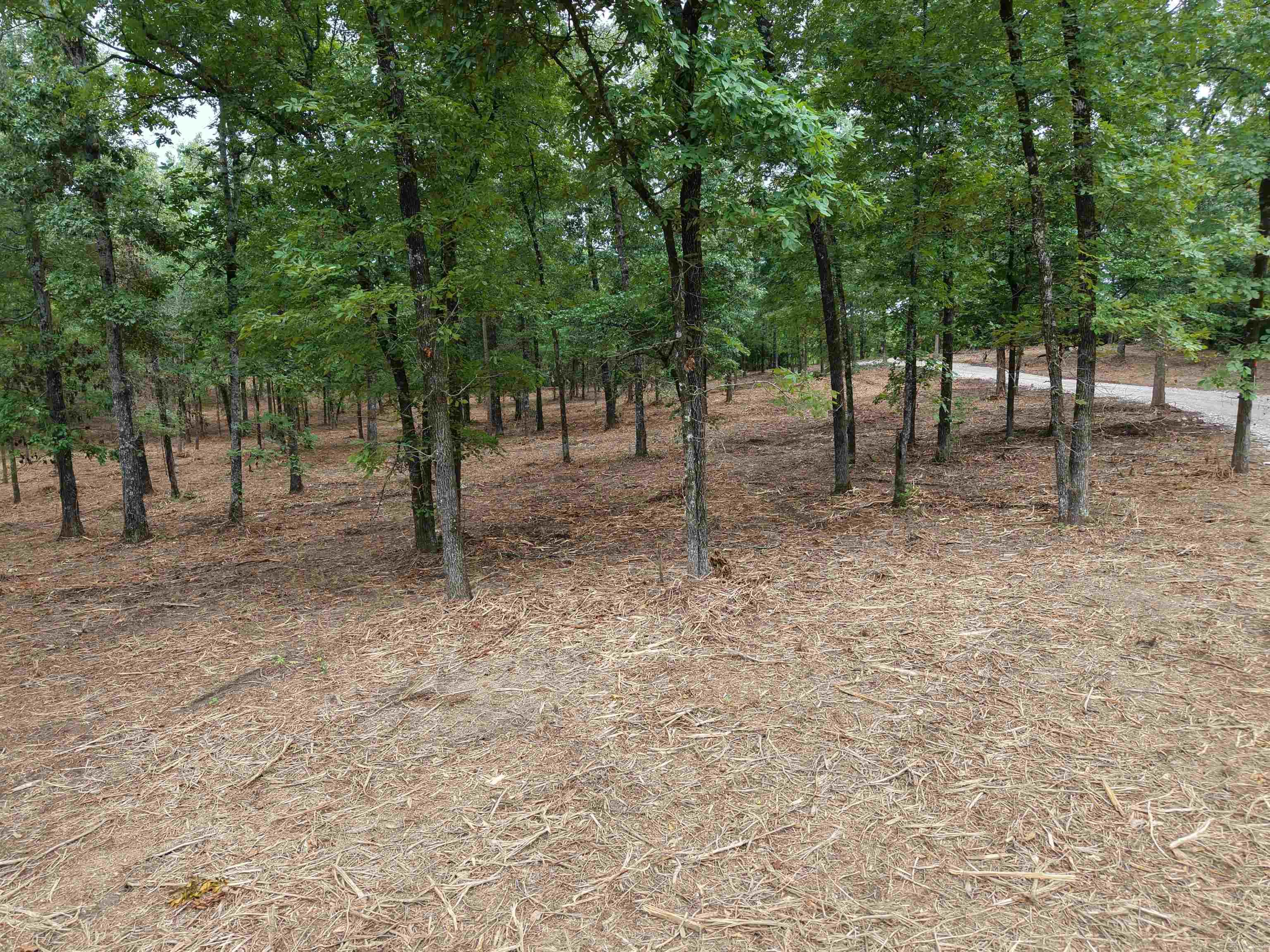 XXX Nubbin Ridge  Royal, AR