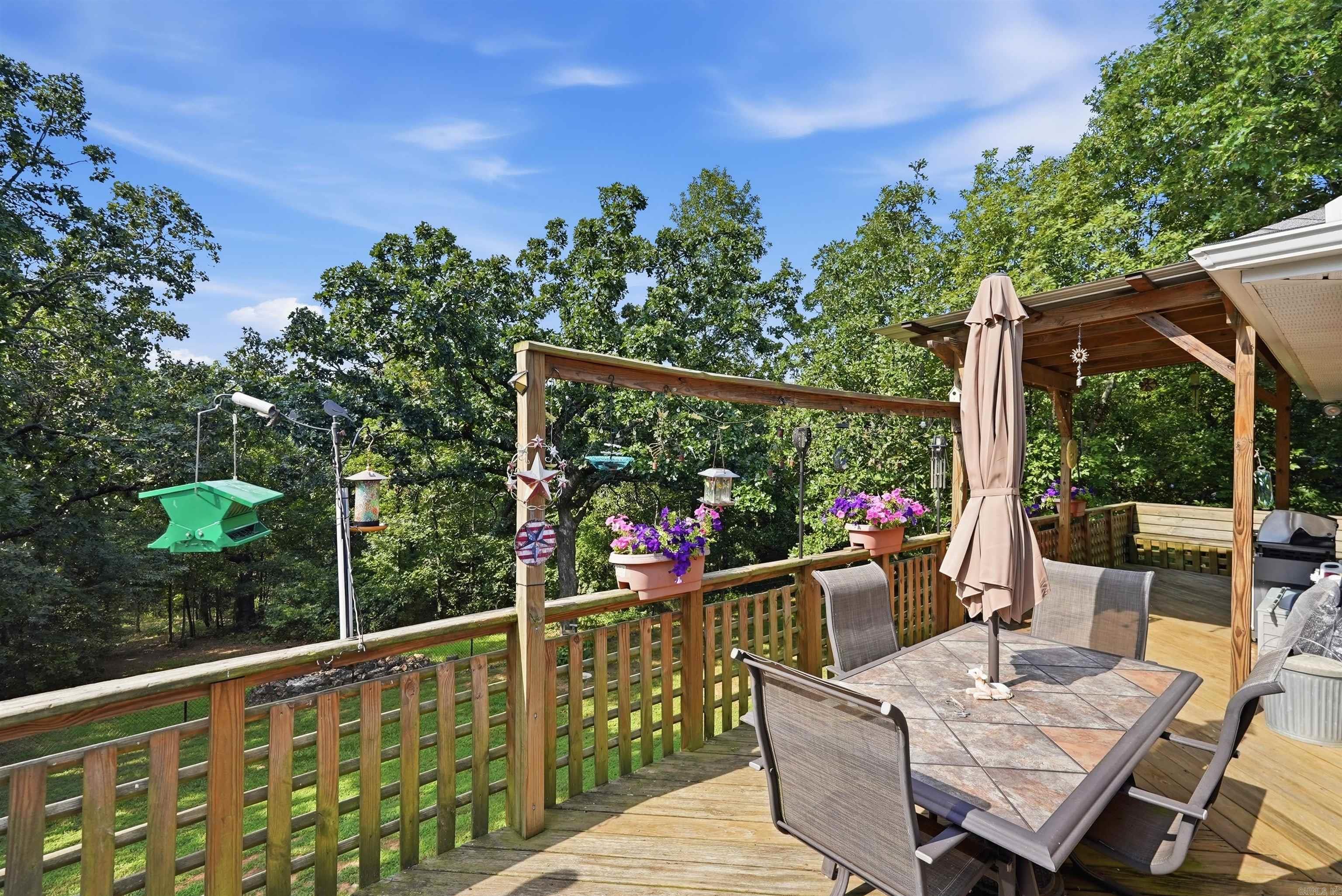 81 Billy Goat Mountain  Vilonia, AR