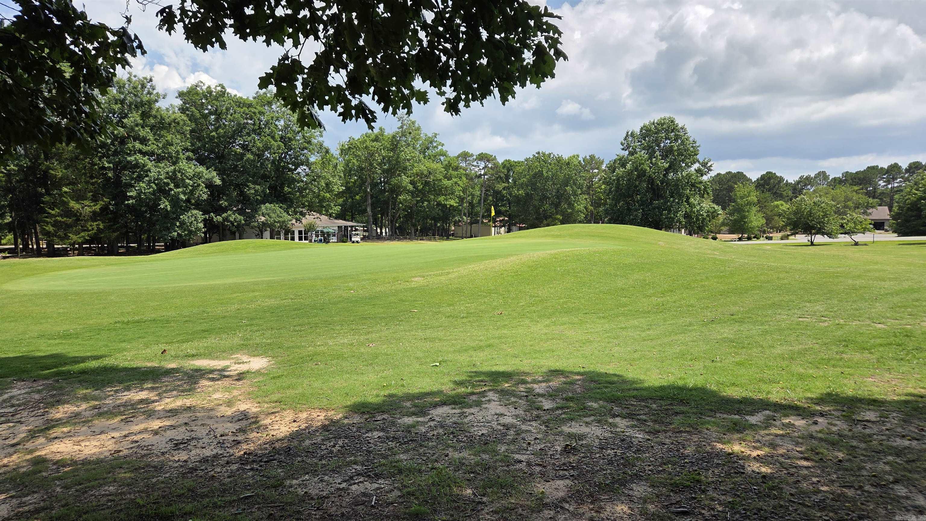 317 Castle Ridge  Fairfield Bay, AR