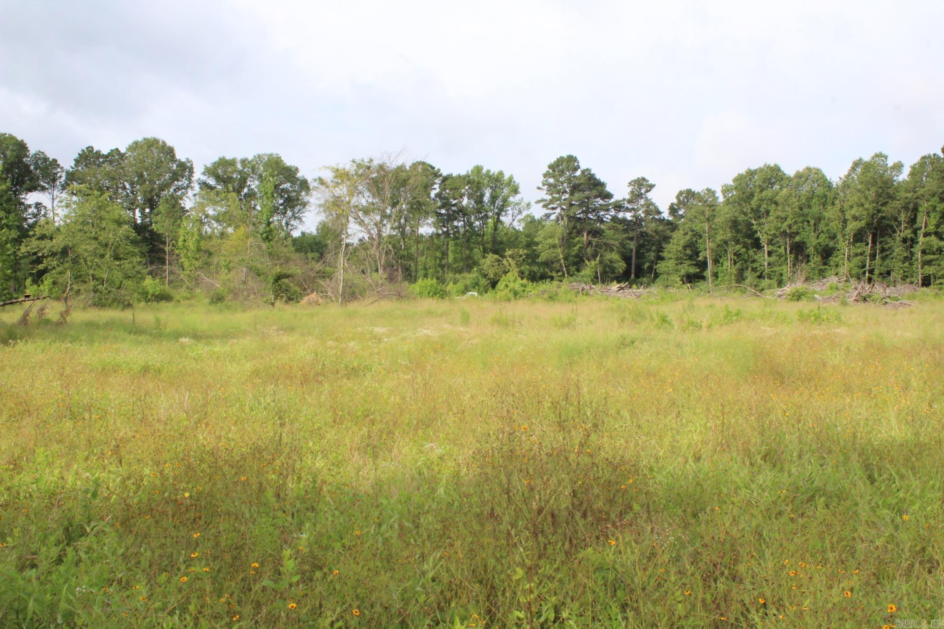 1442 Schaal  Mineral Sprs., AR