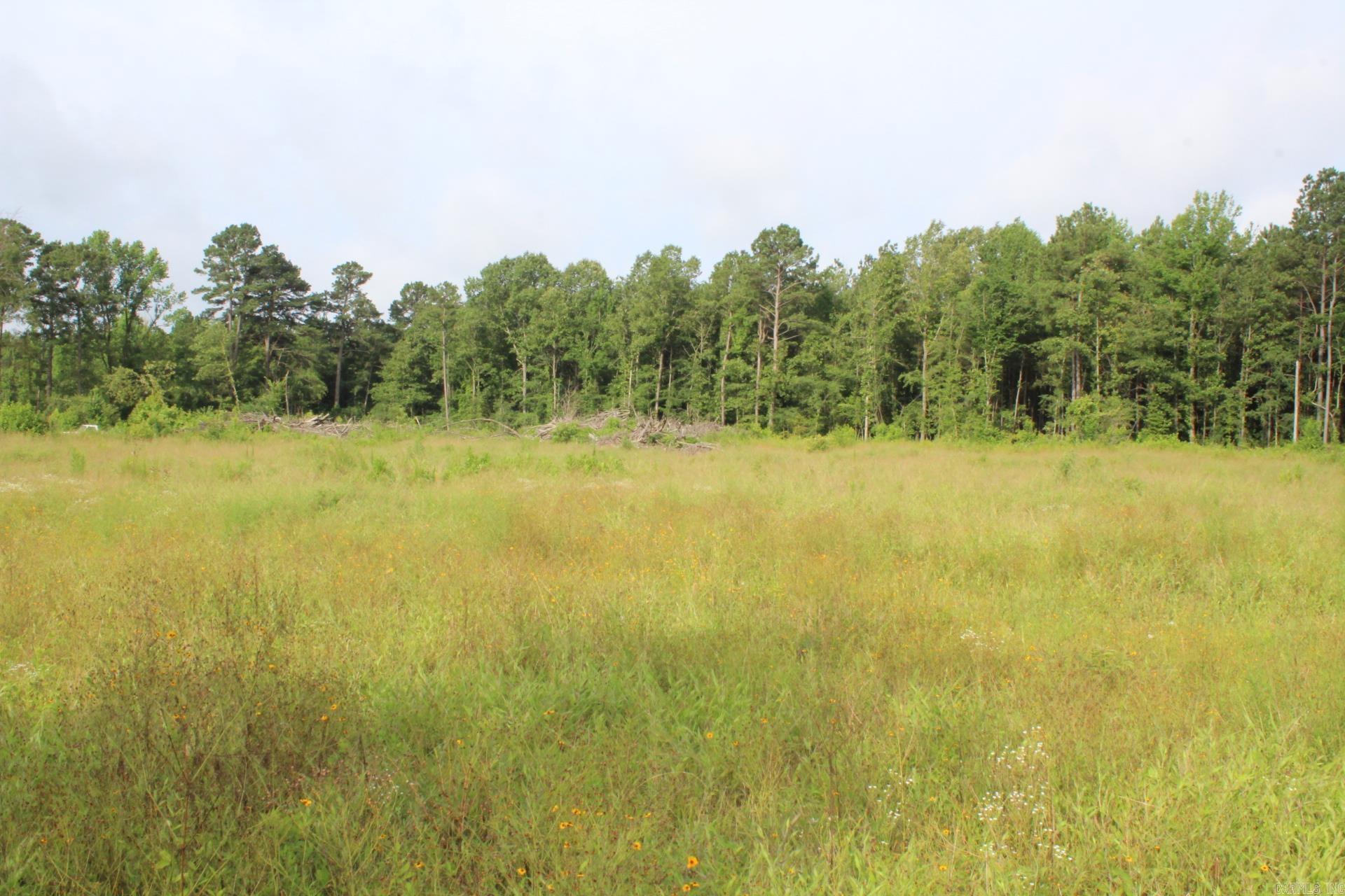 1442 Schaal  Mineral Sprs., AR
