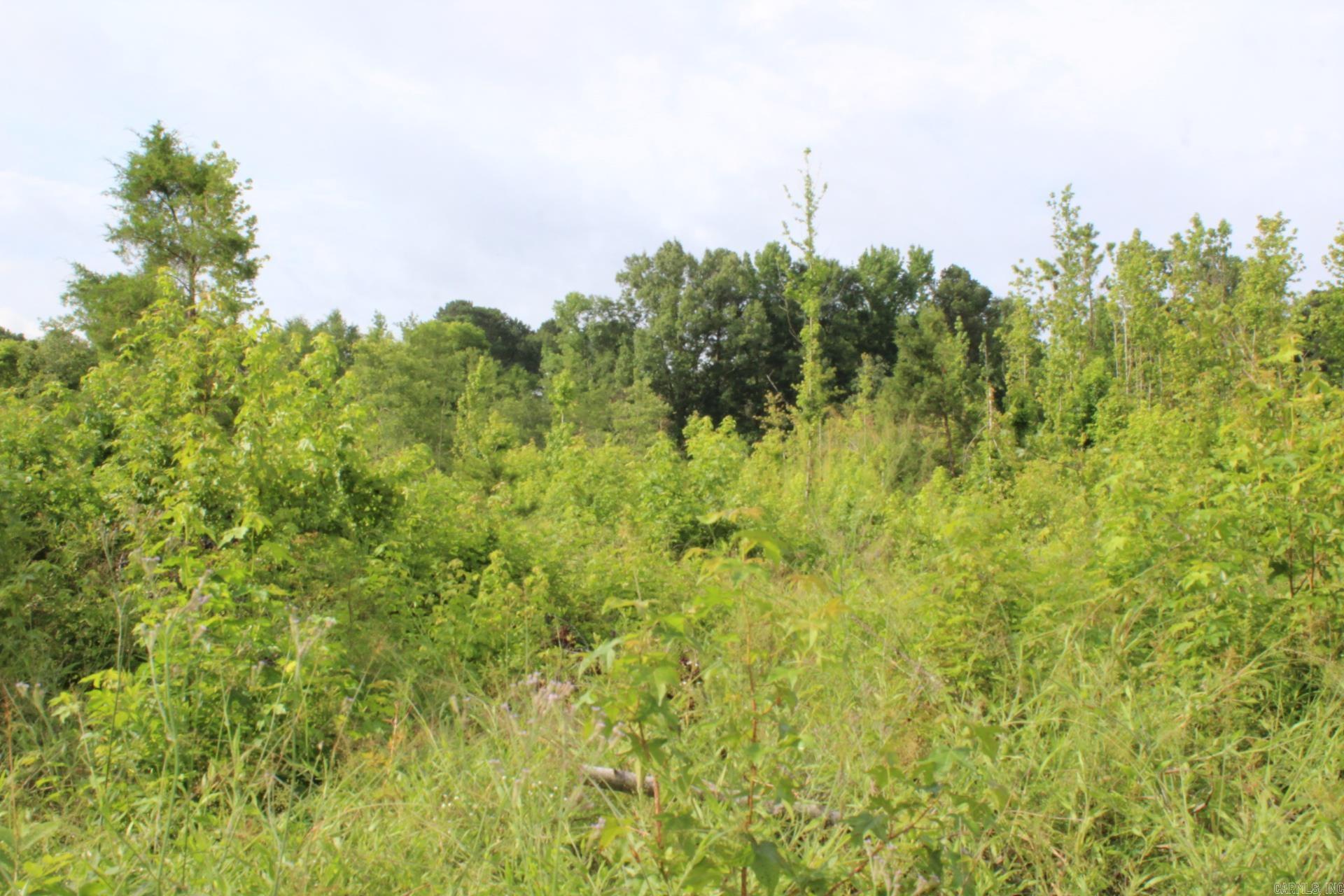 1442 Schaal  Mineral Sprs., AR