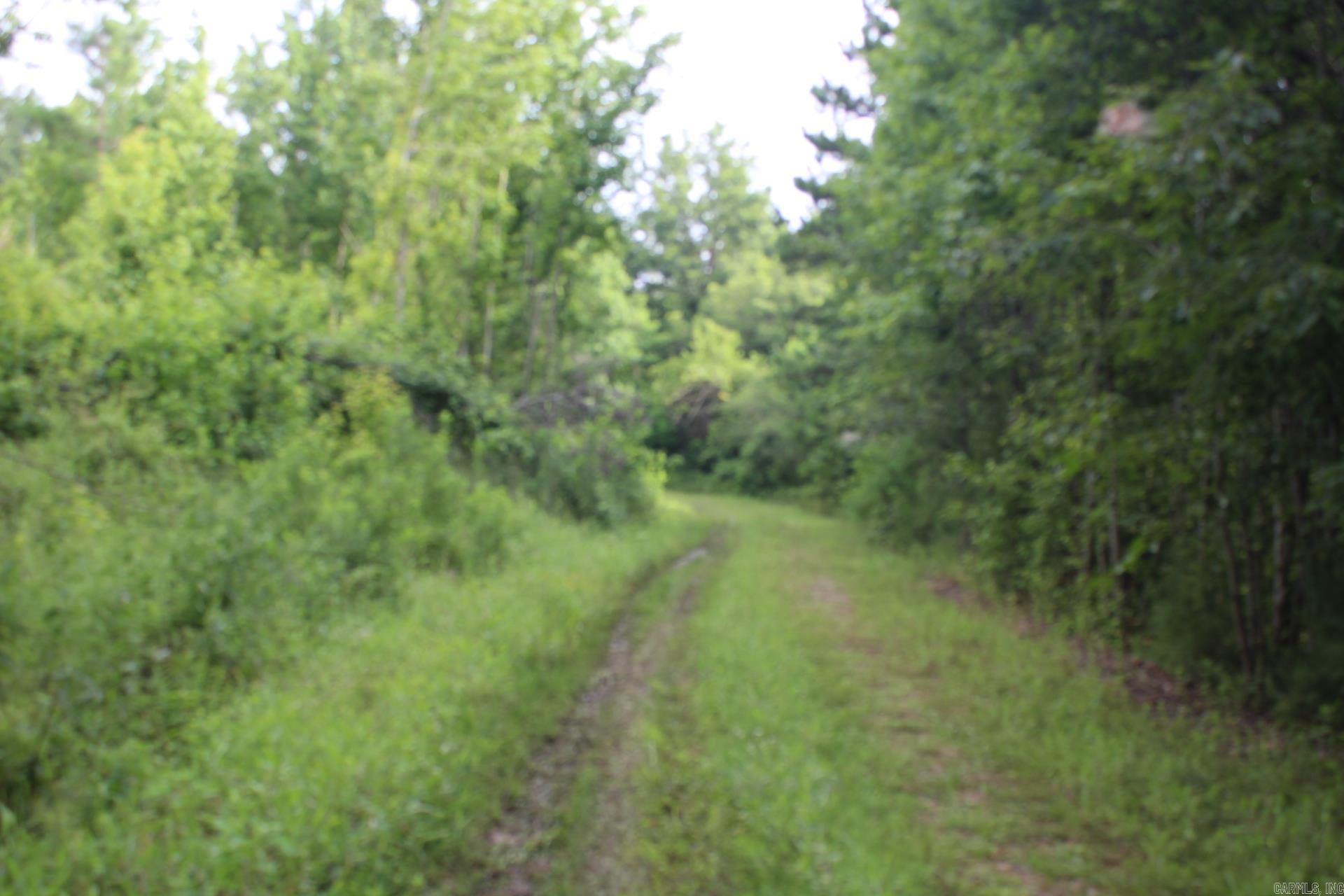 1442 Schaal  Mineral Sprs., AR